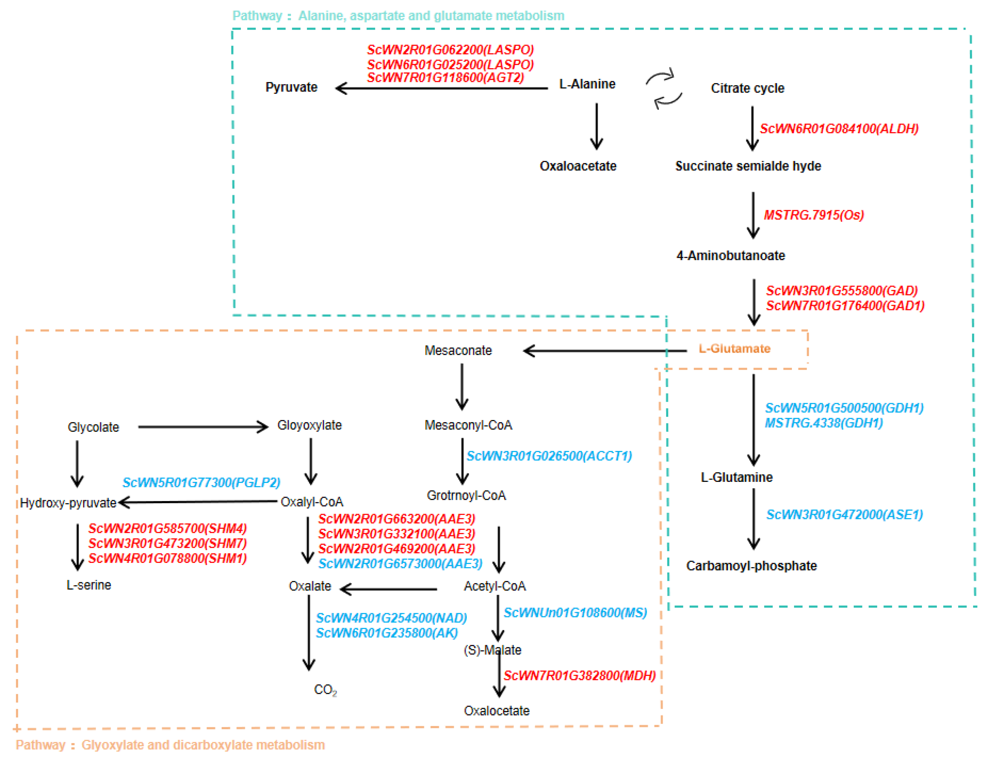 Plants 14 01588 g005