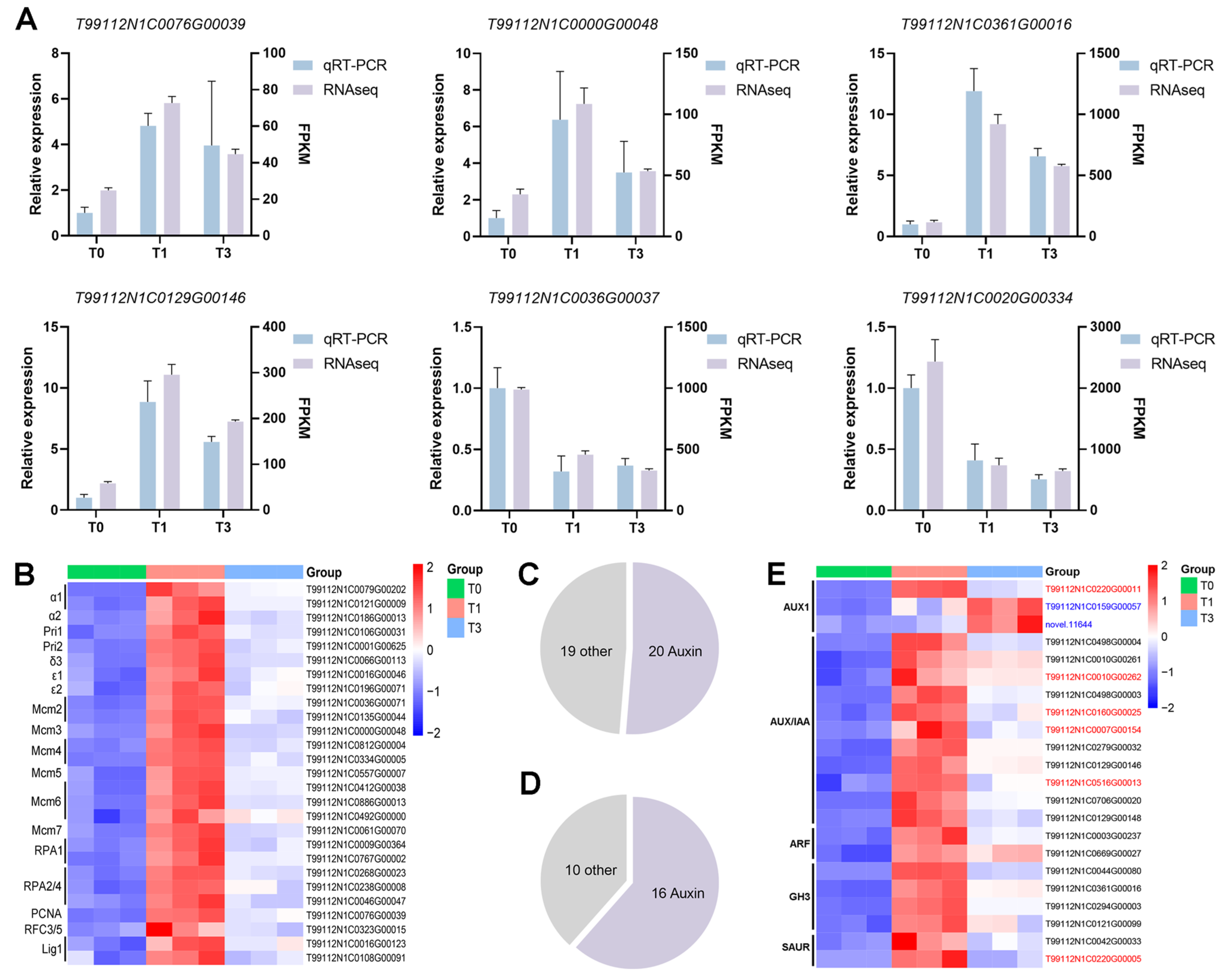 Plants 14 01591 g005