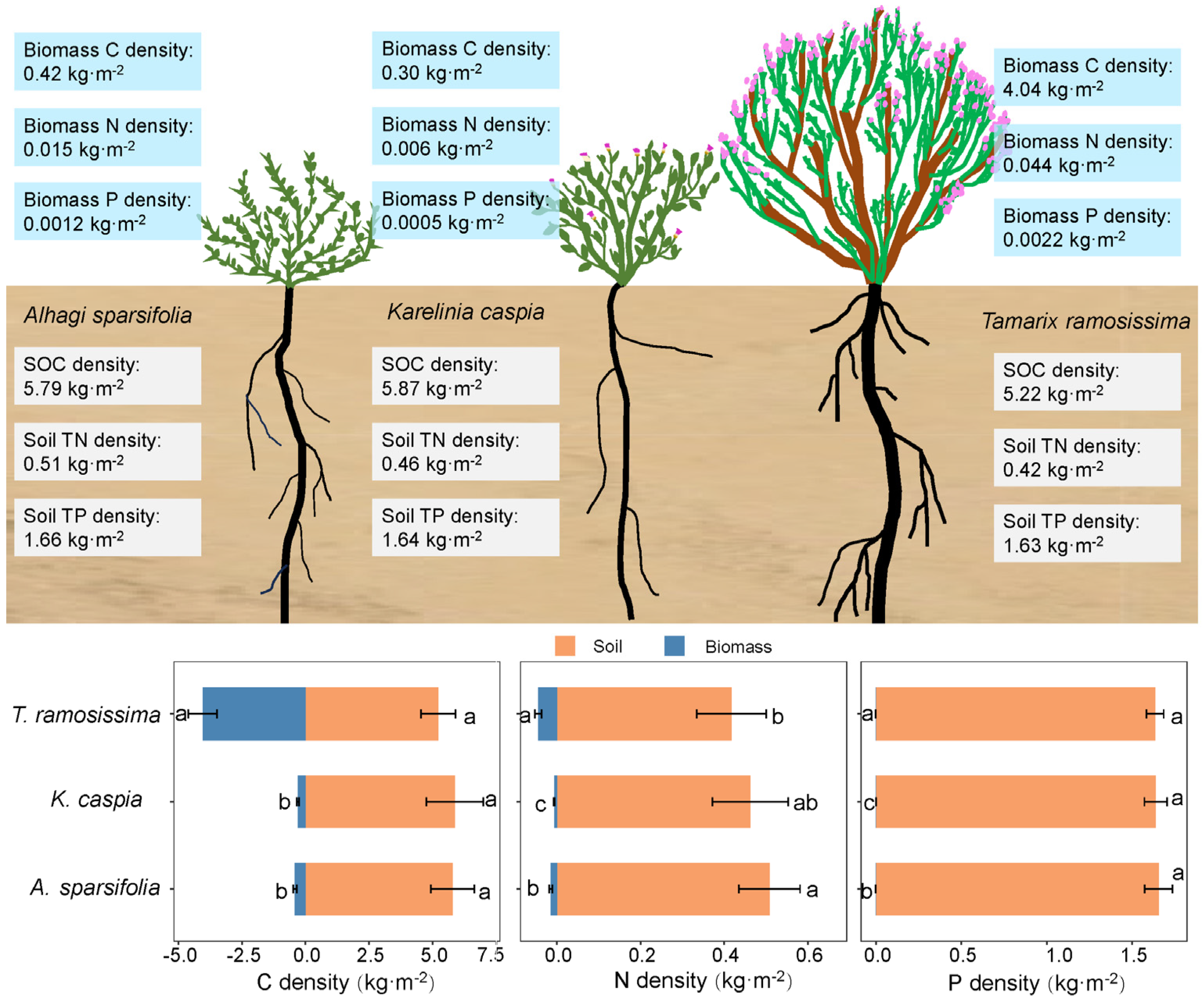 Plants 14 01595 g007