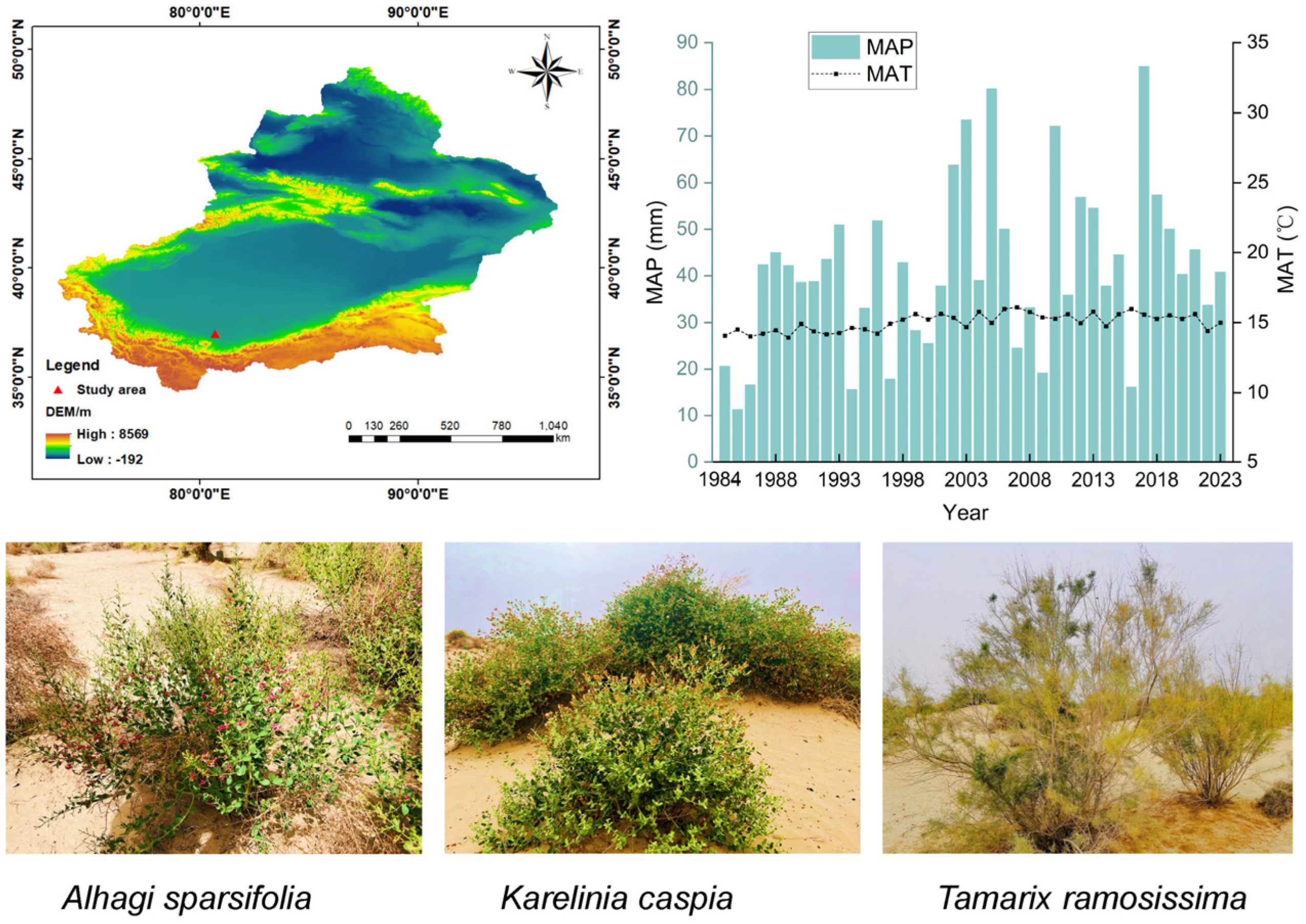 Plants 14 01595 g008