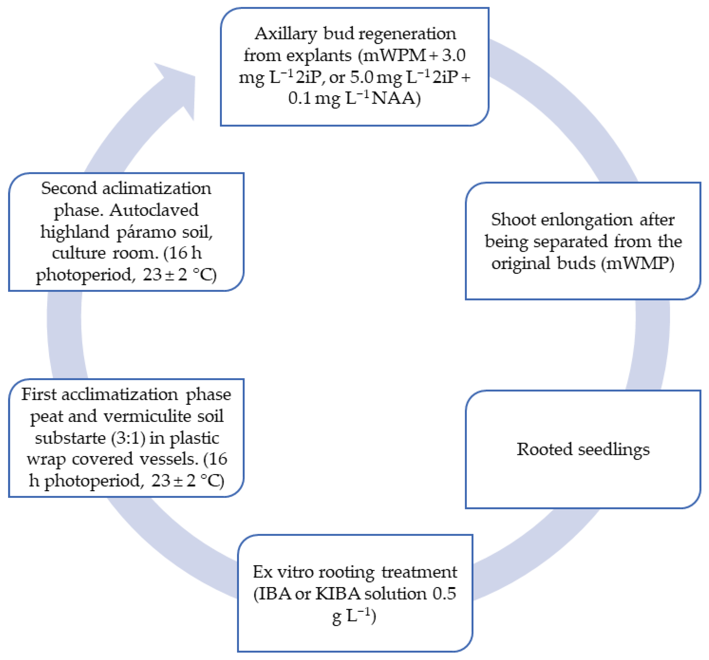 Plants 14 01596 g002