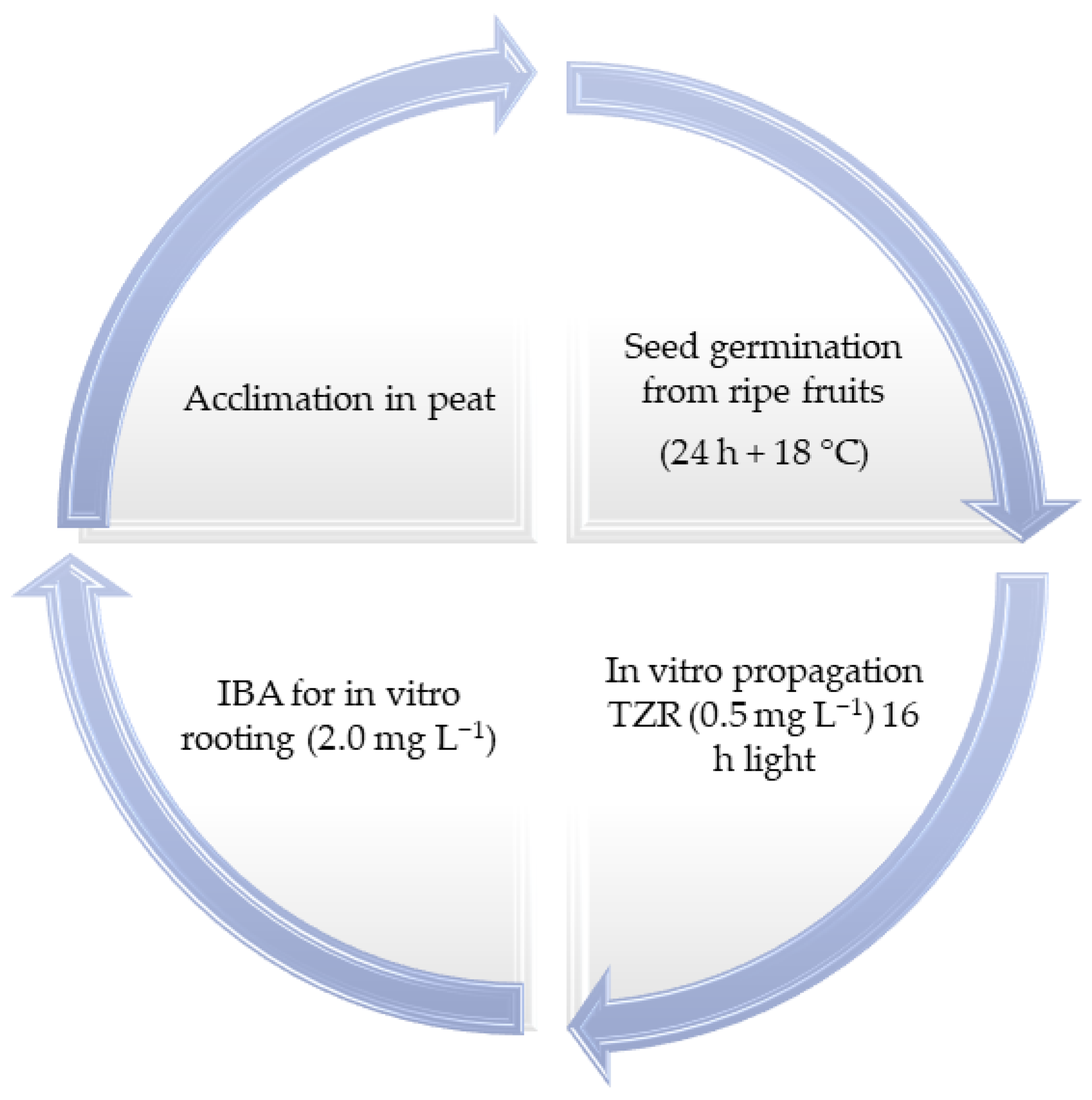 Plants 14 01596 g003