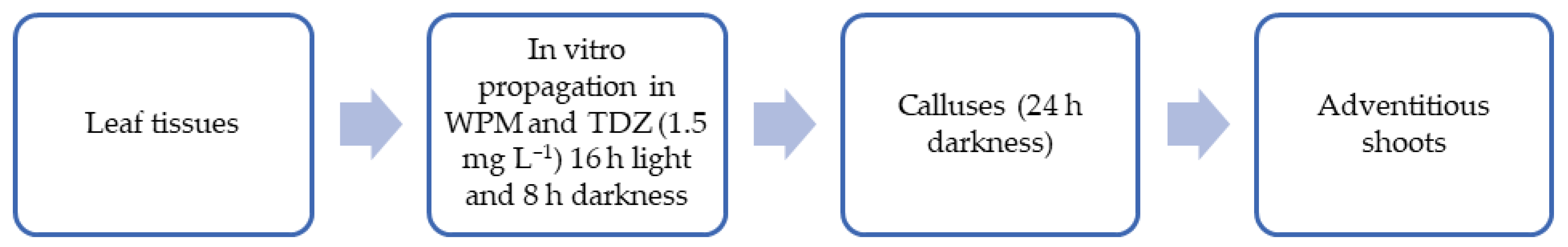 Plants 14 01596 g004