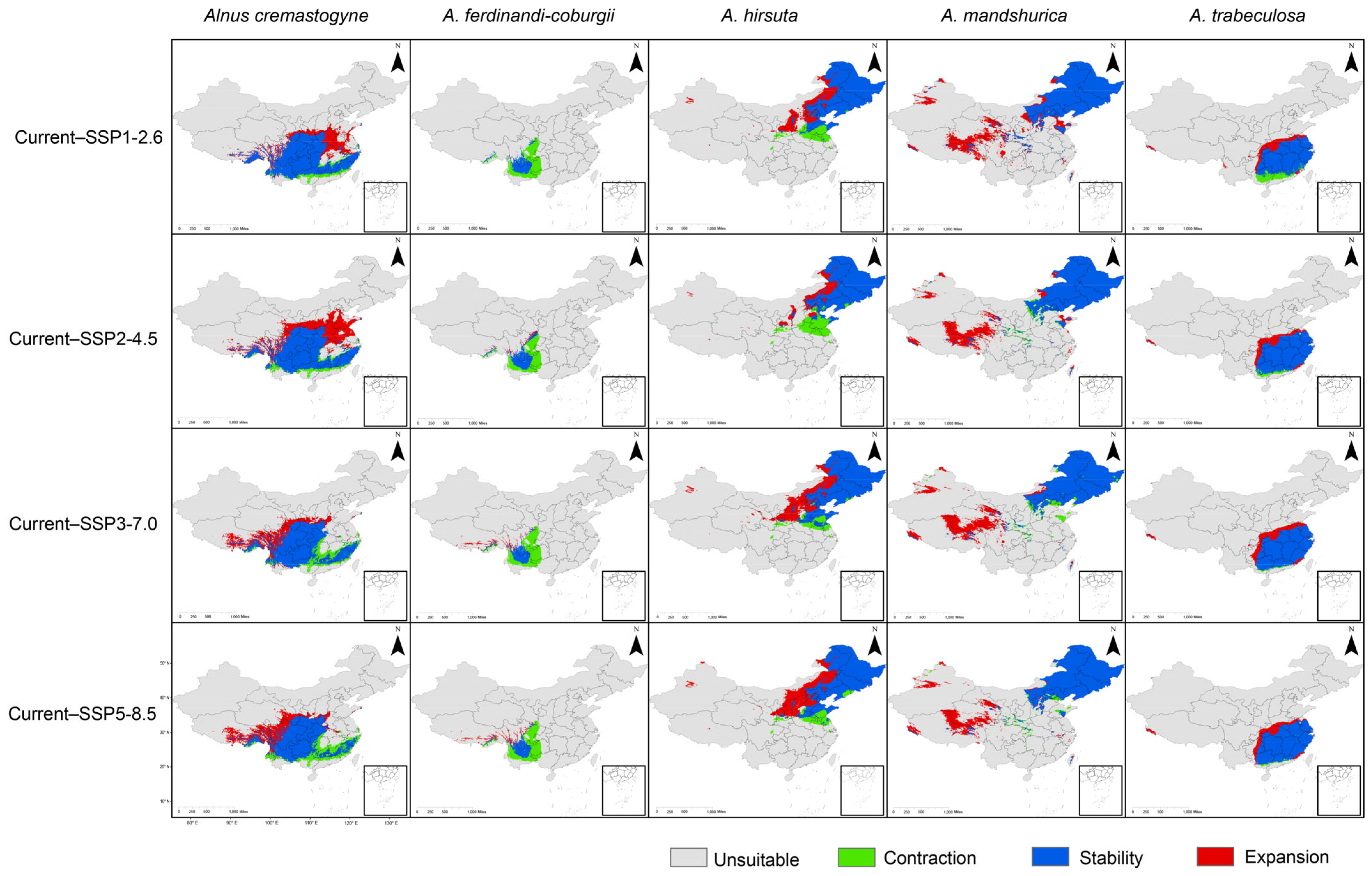 Plants 14 01597 g004