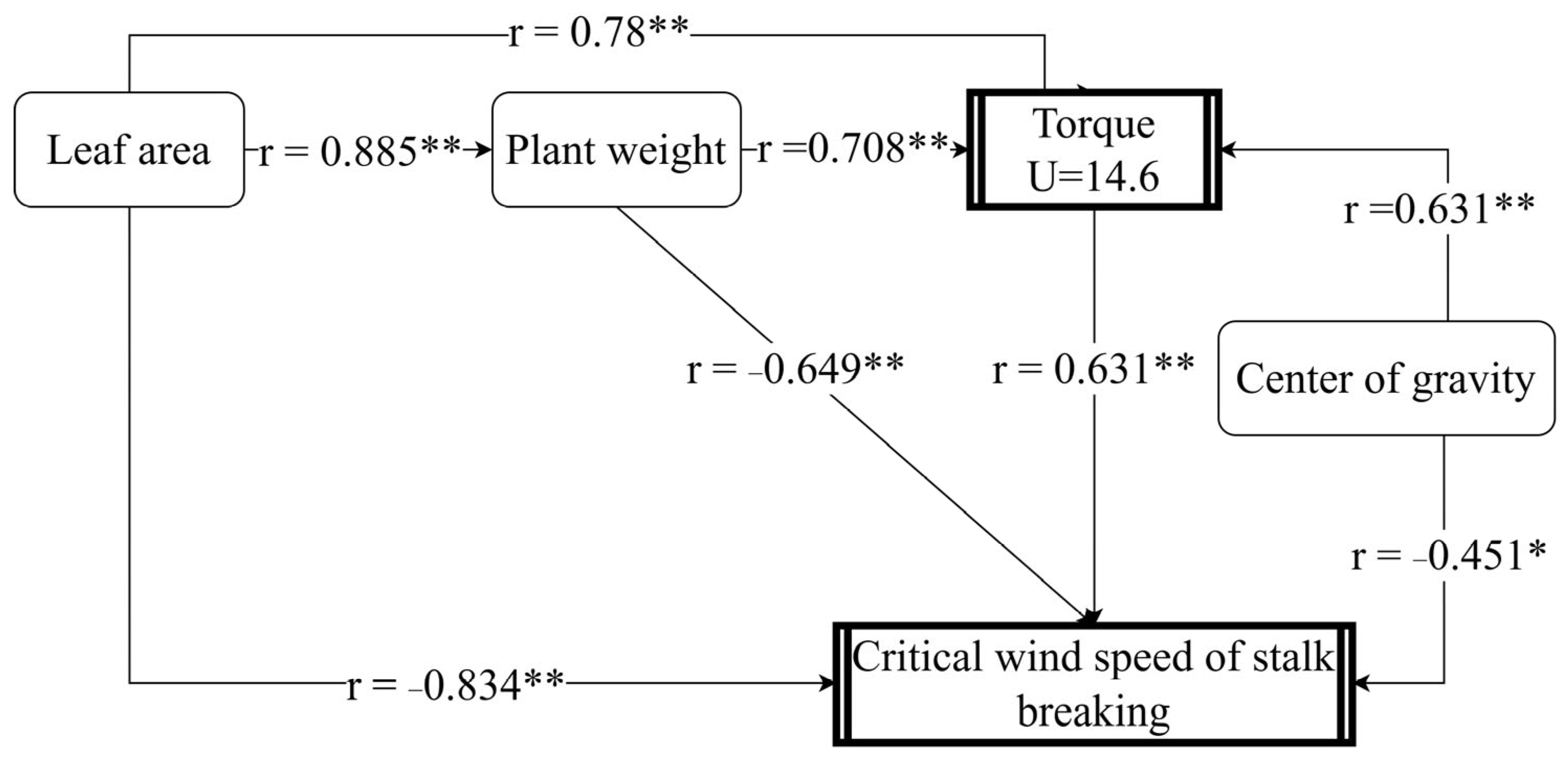 Plants 14 01598 g006