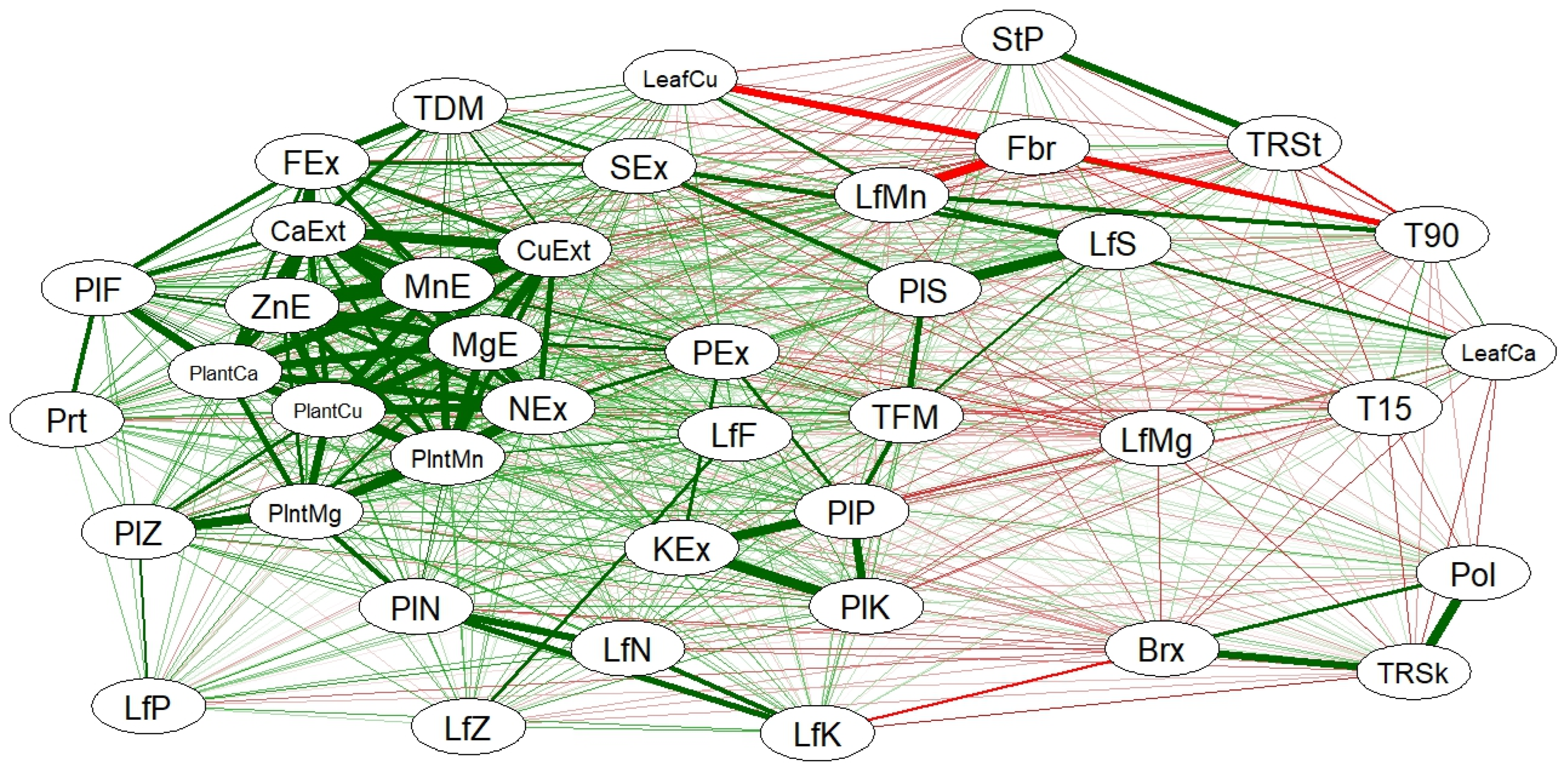 Plants 14 01599 g001
