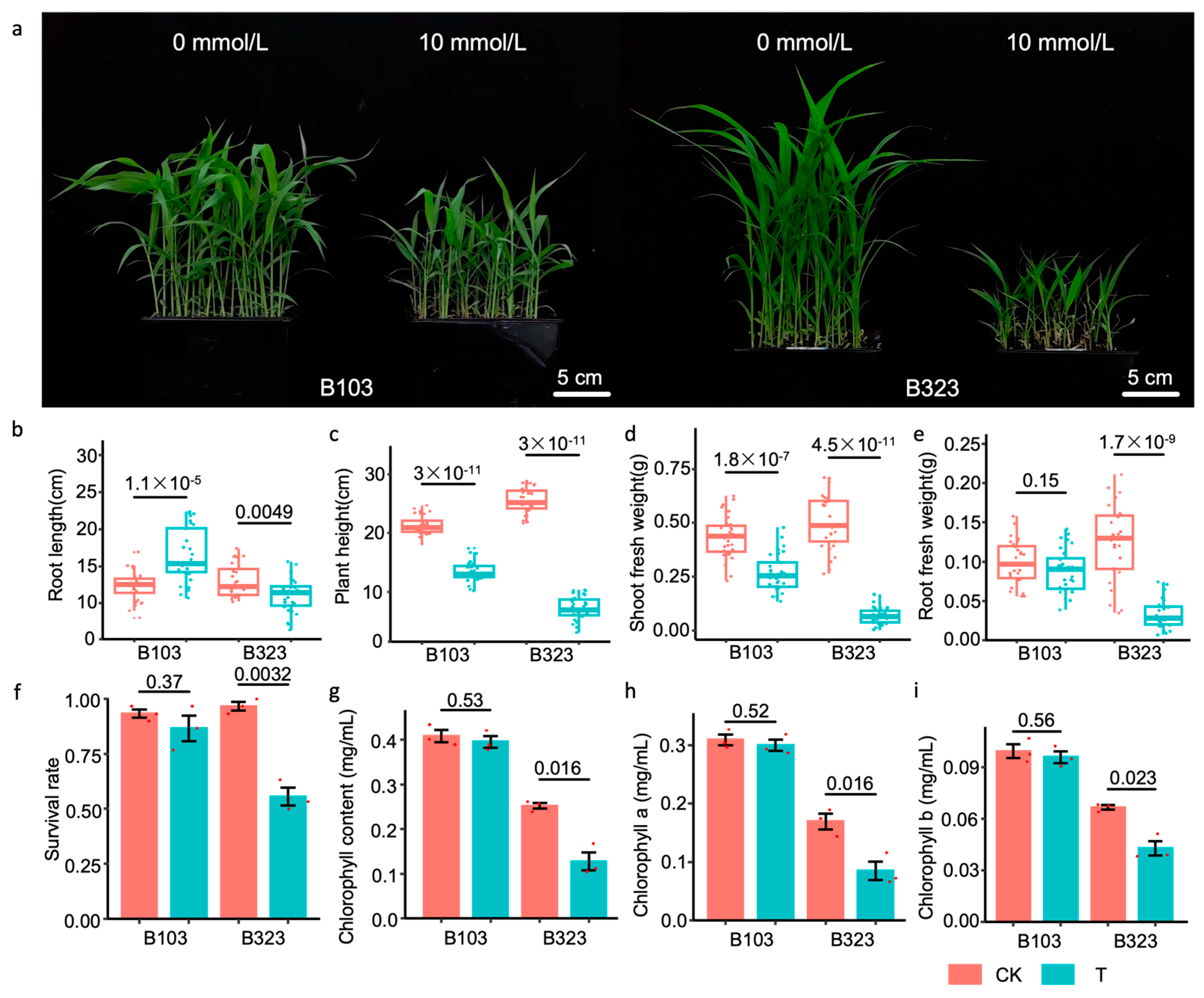 Plants 14 01602 g001