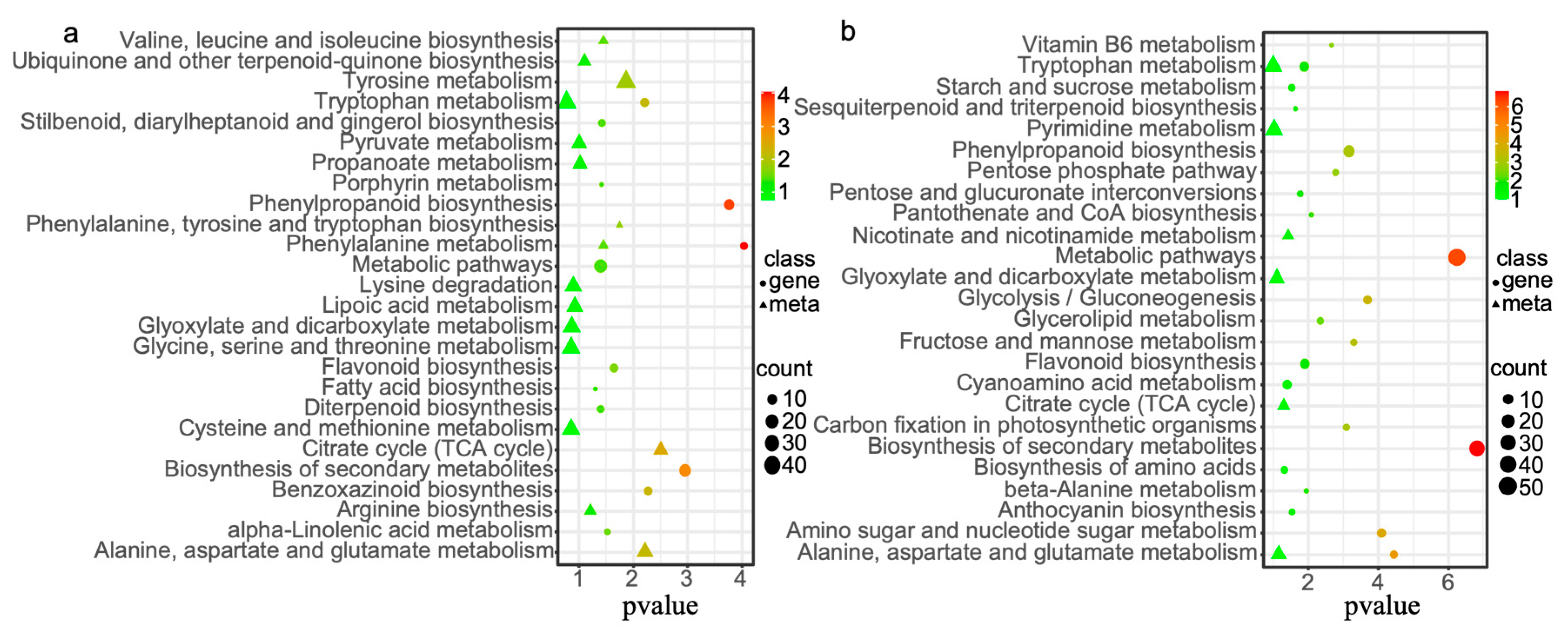 Plants 14 01602 g003
