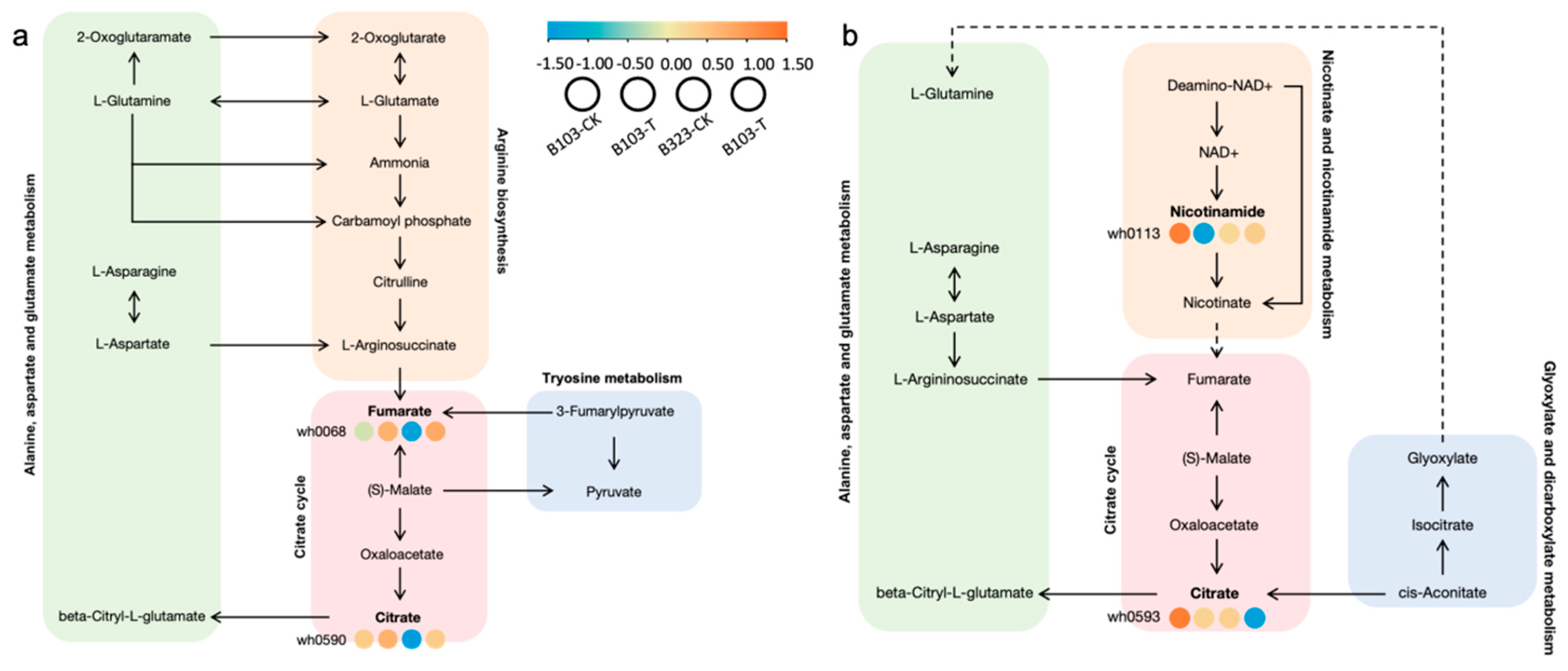 Plants 14 01602 g006