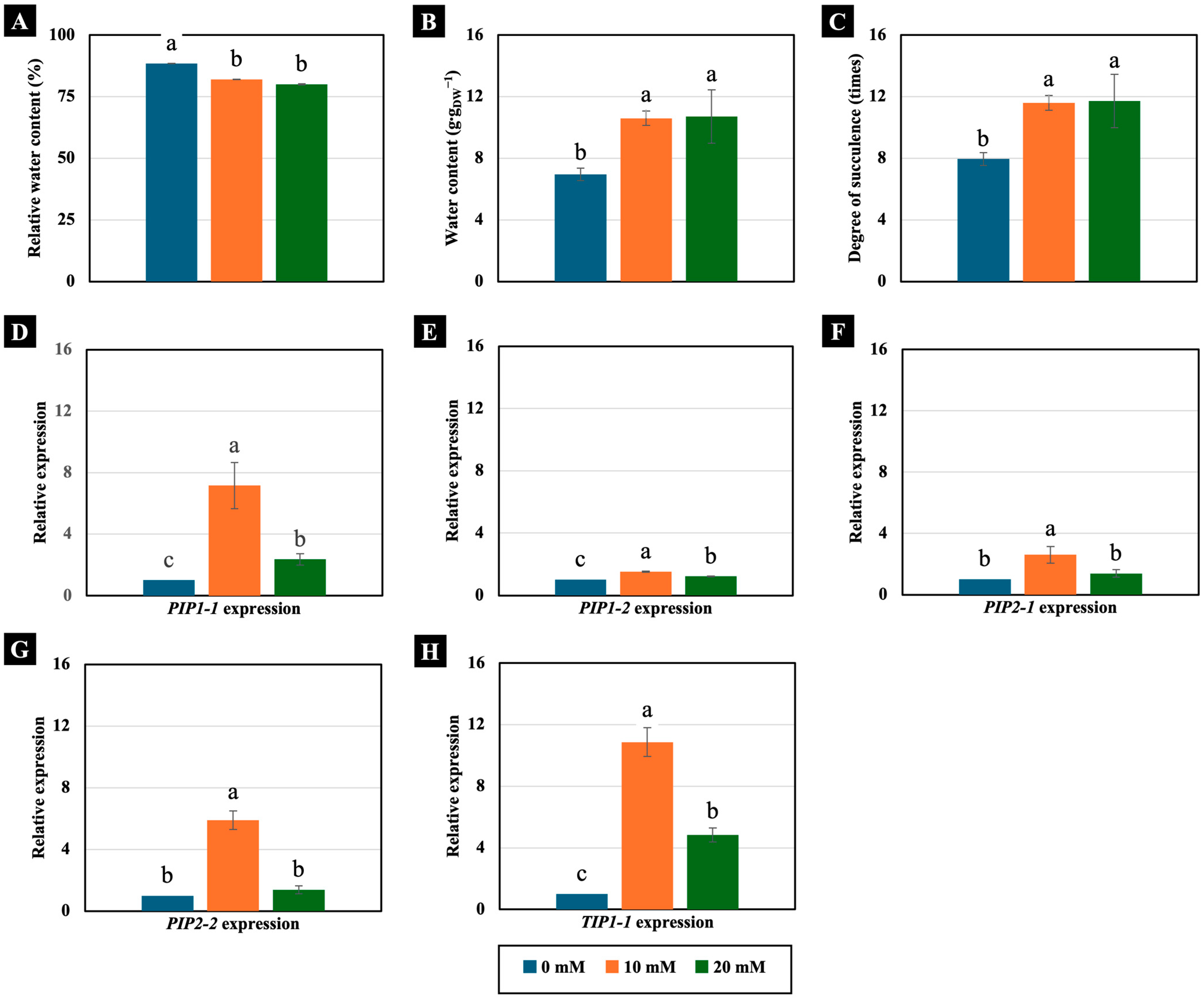 Plants 14 01616 g004