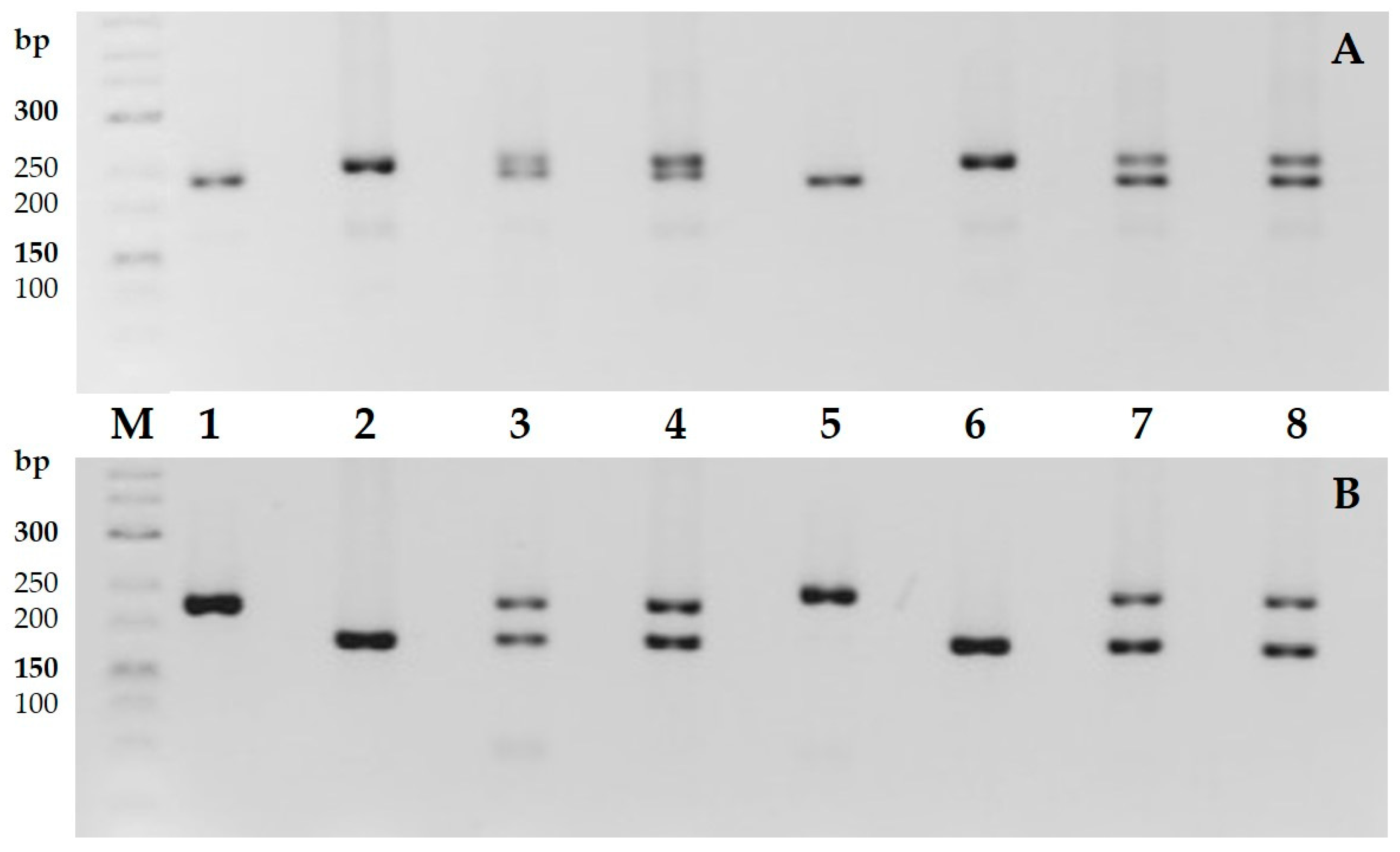 Plants 14 01620 g007