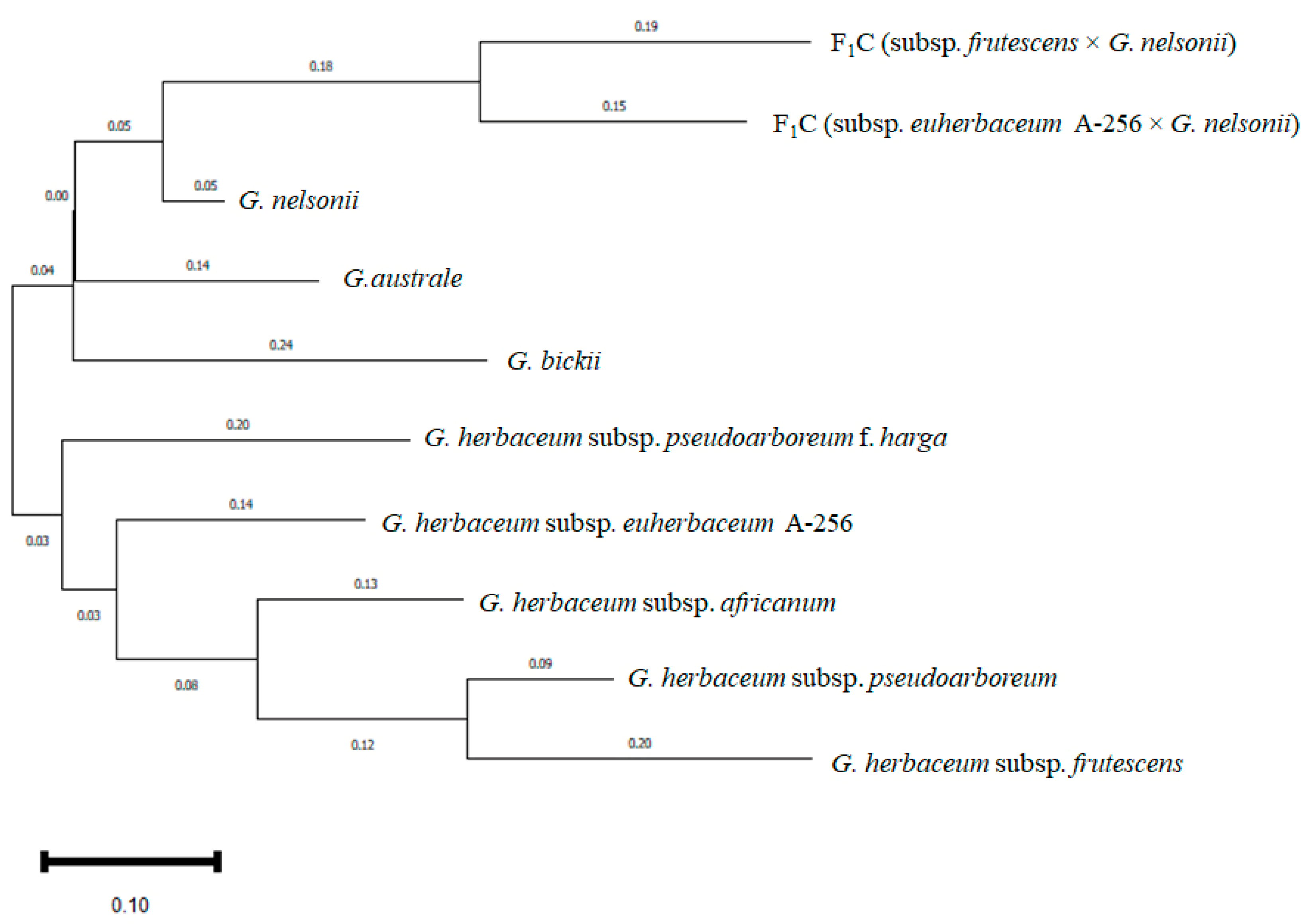 Plants 14 01620 g008
