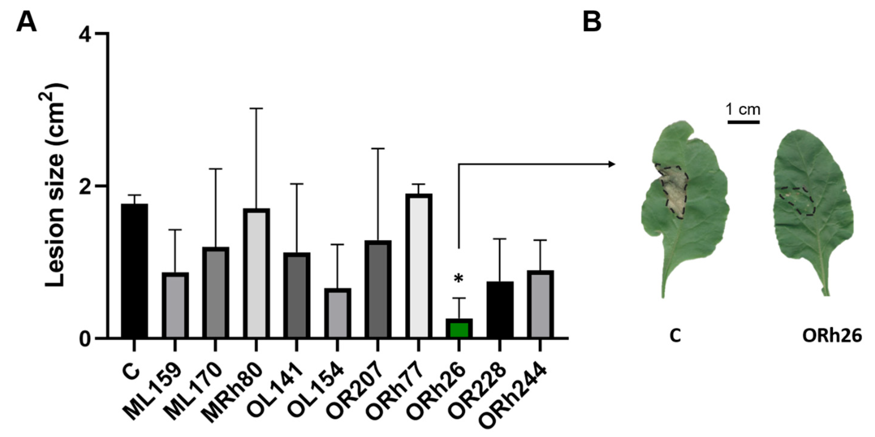 Plants 14 01621 g001