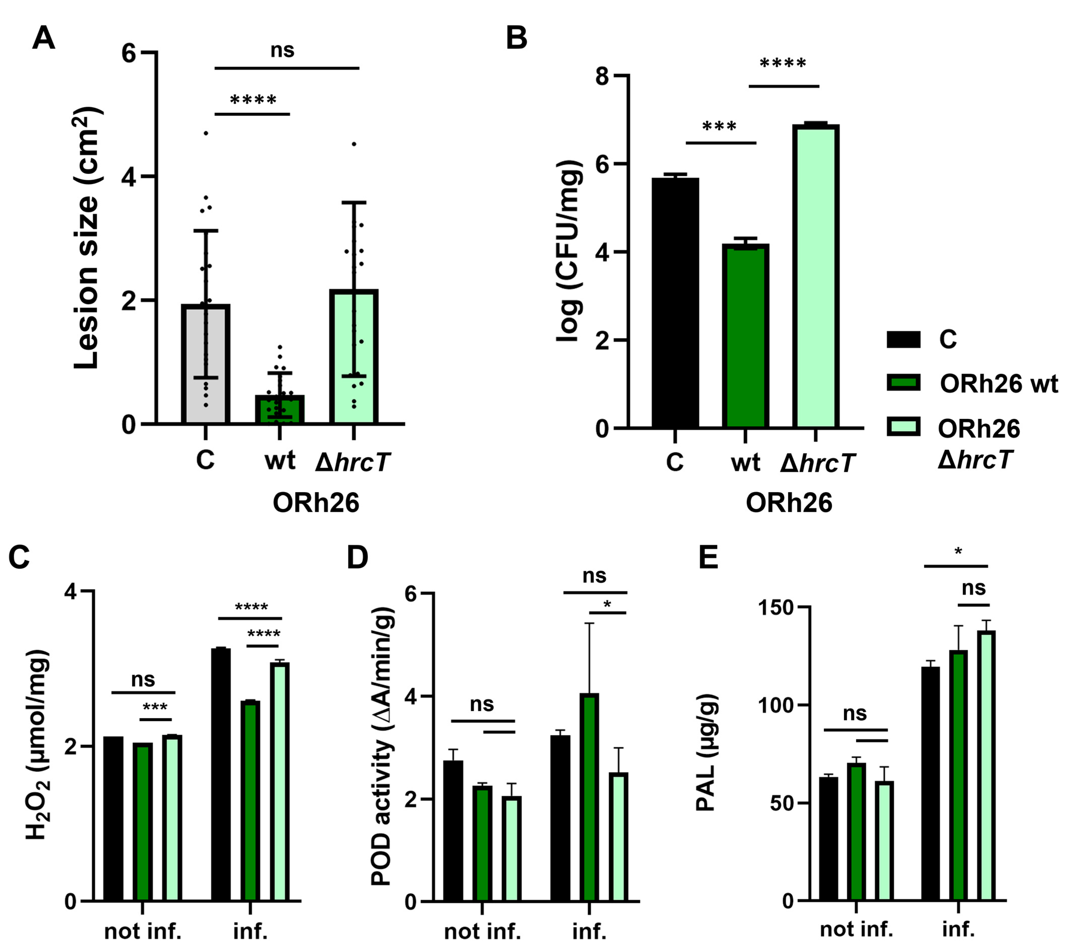 Plants 14 01621 g004