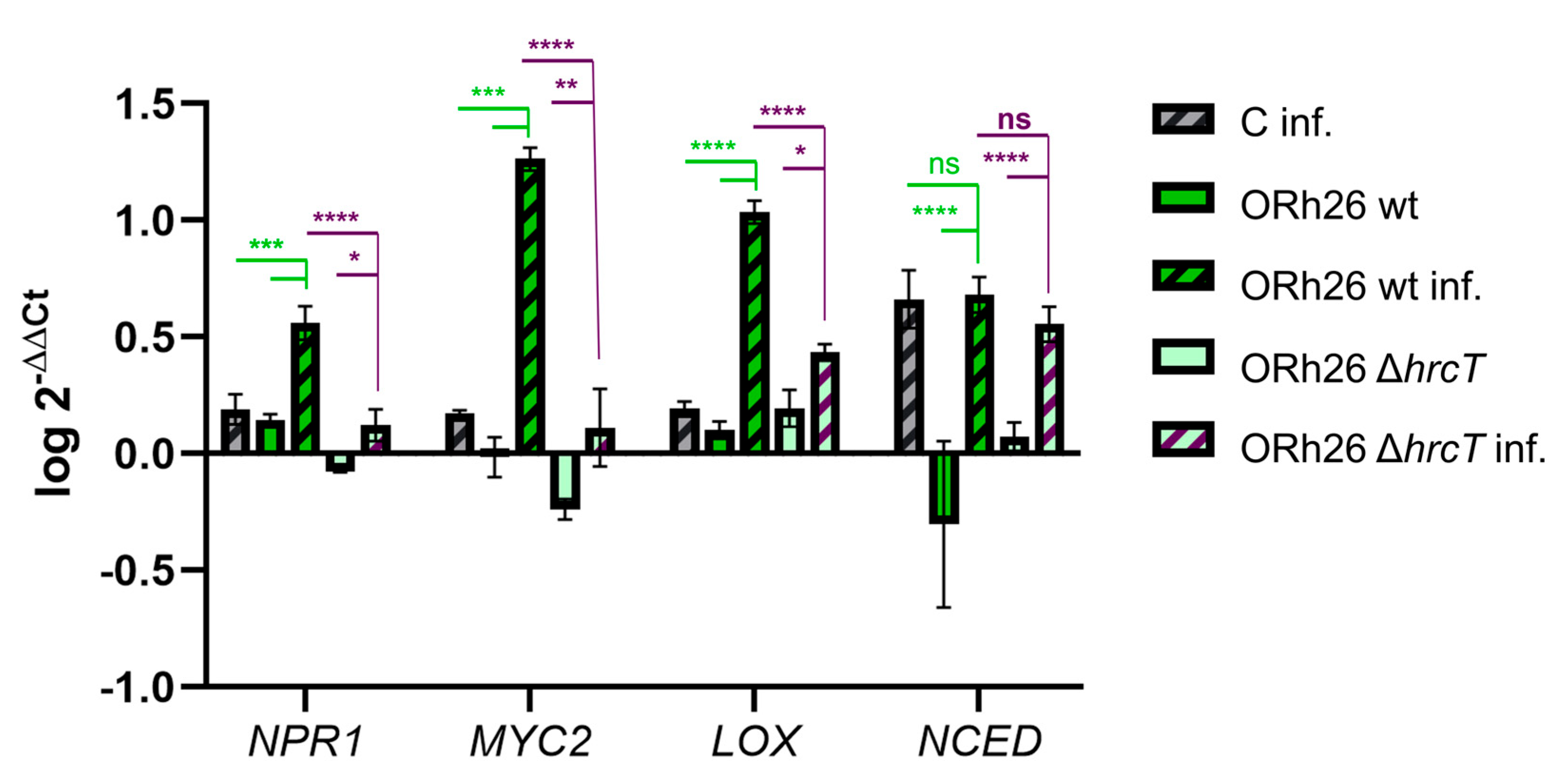 Plants 14 01621 g005