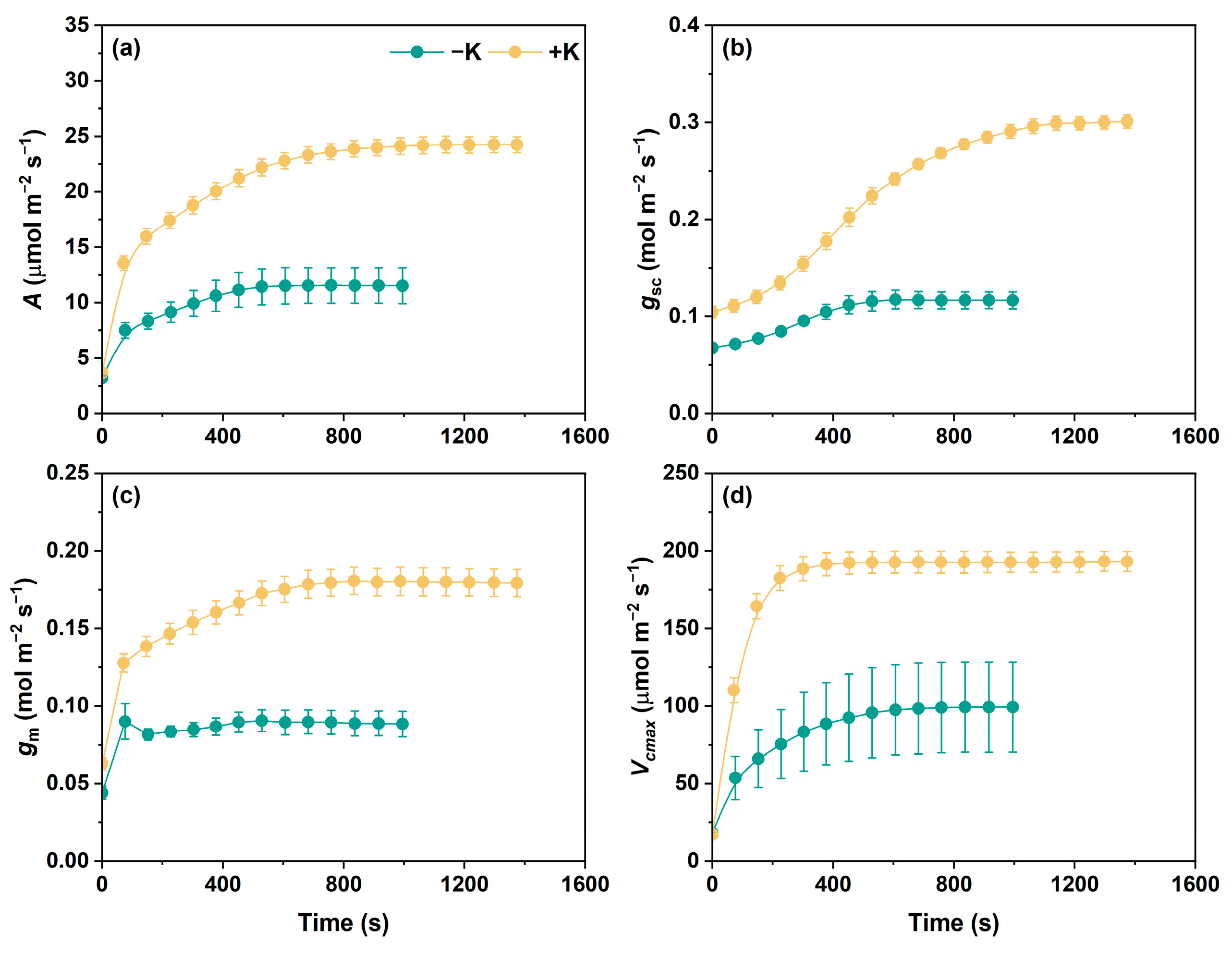 Plants 14 01623 g001