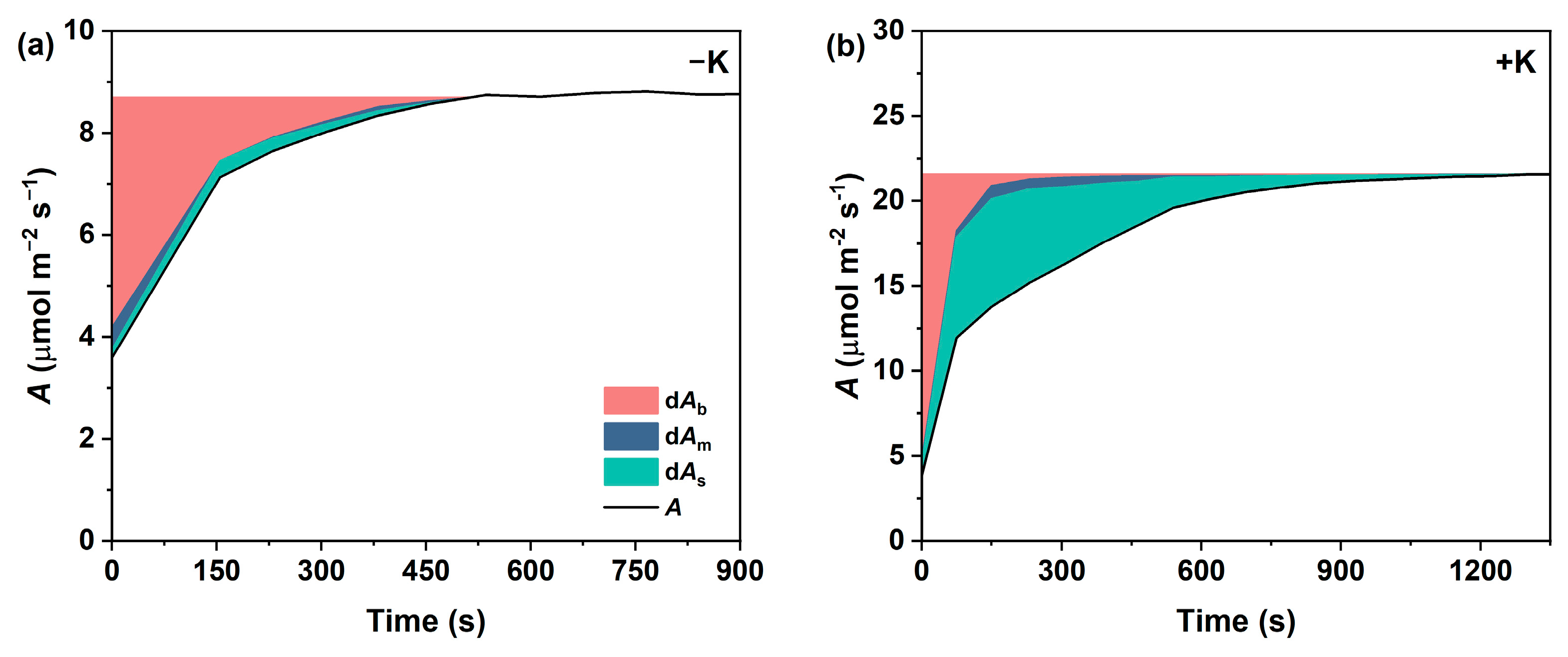 Plants 14 01623 g004