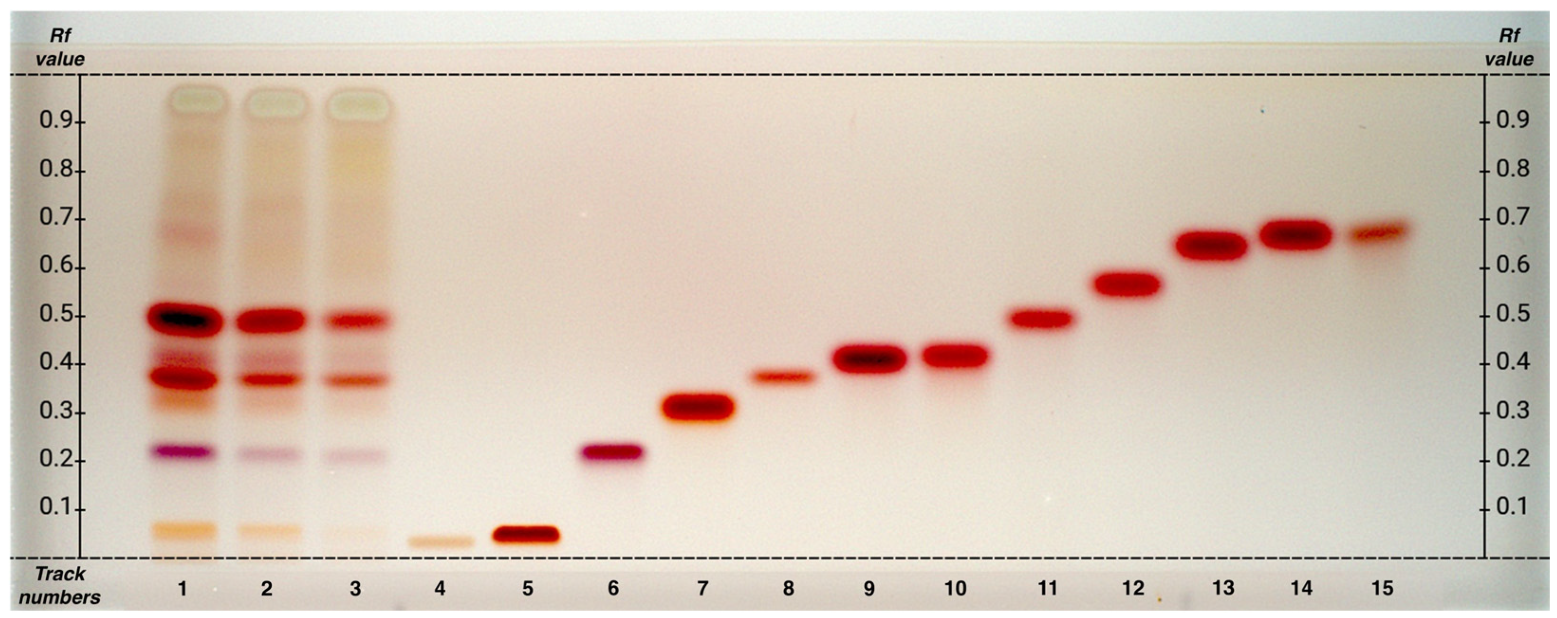Plants 14 01631 g001