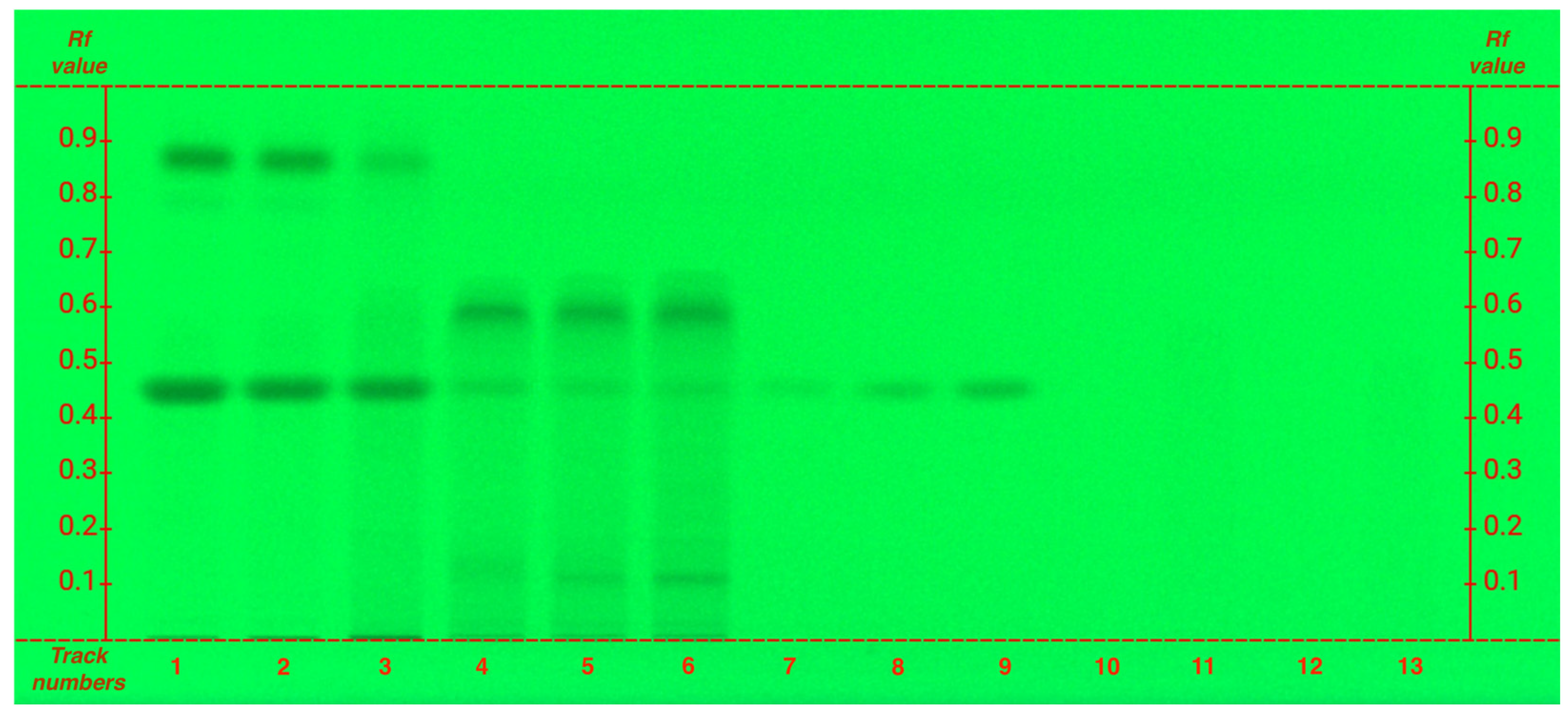 Plants 14 01631 g002