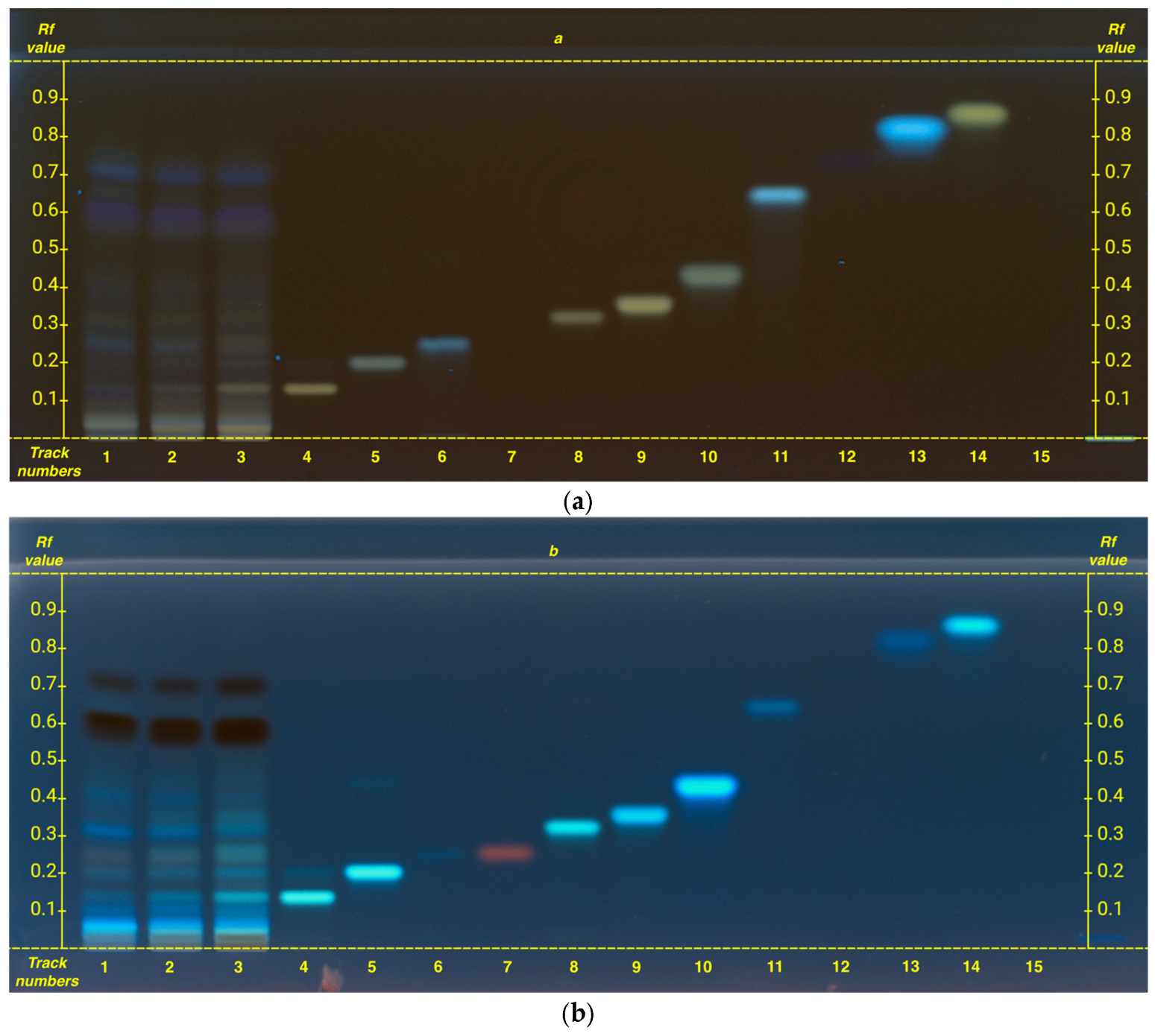 Plants 14 01631 g003