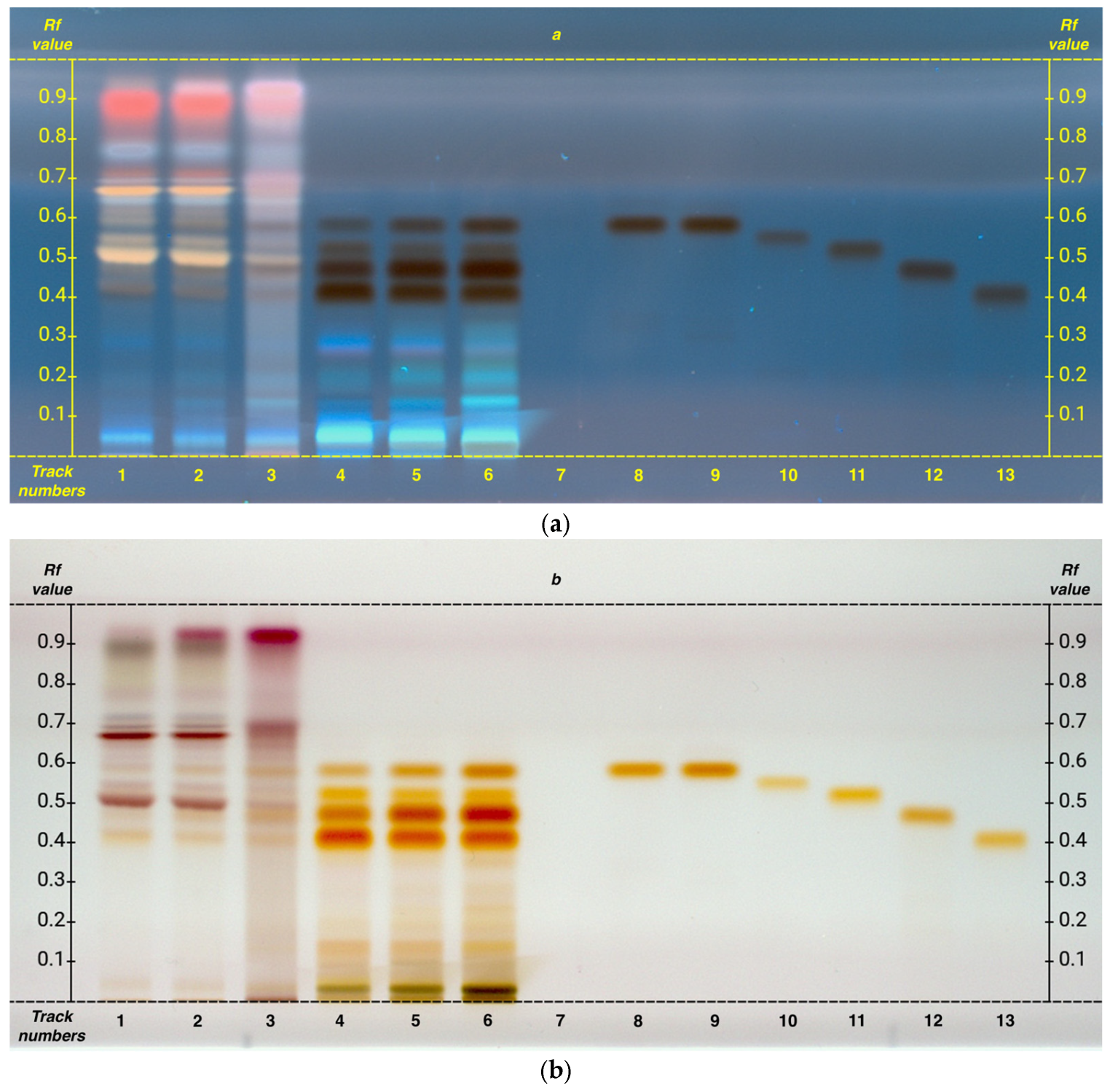 Plants 14 01631 g004
