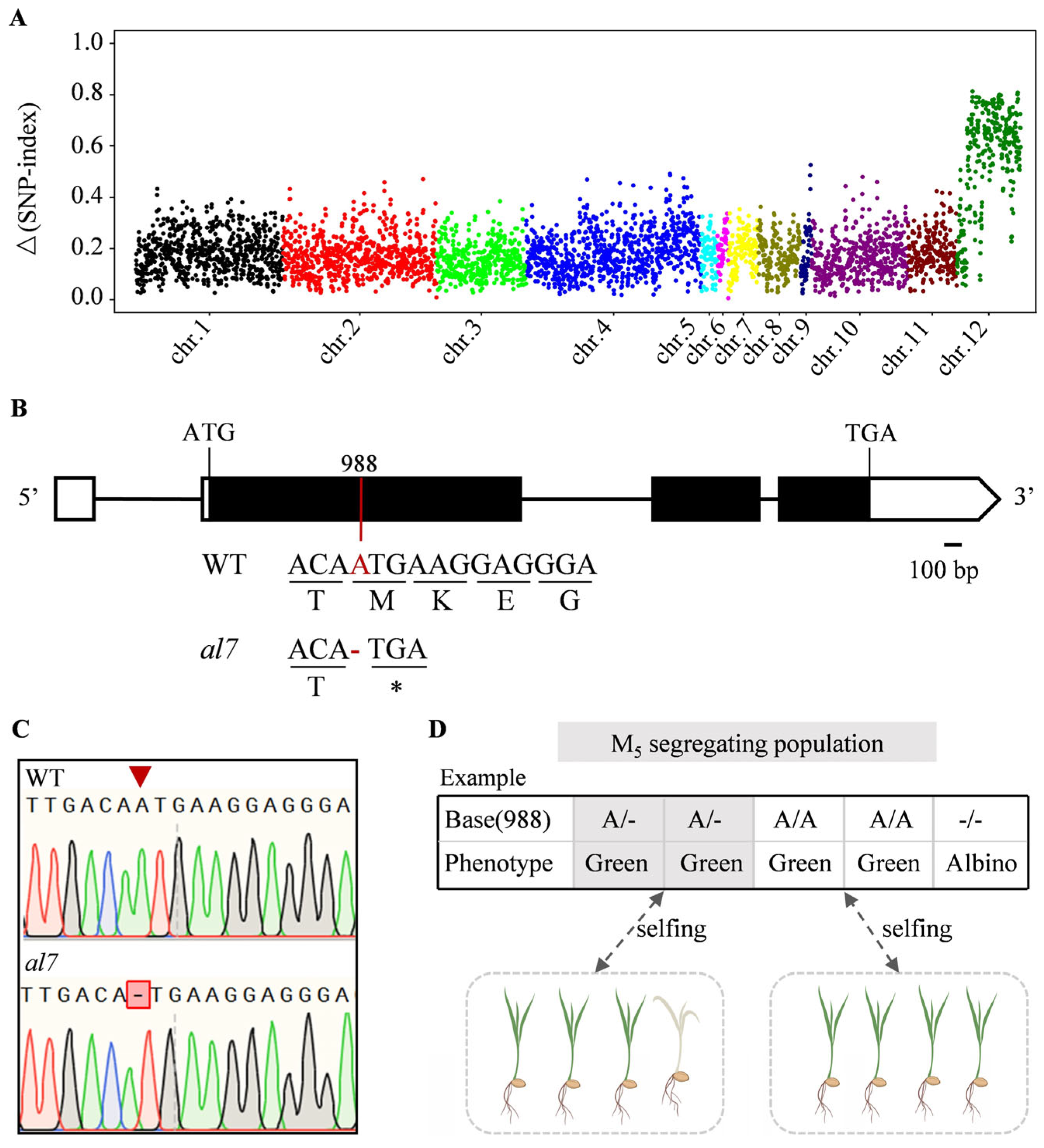 Plants 14 01634 g002