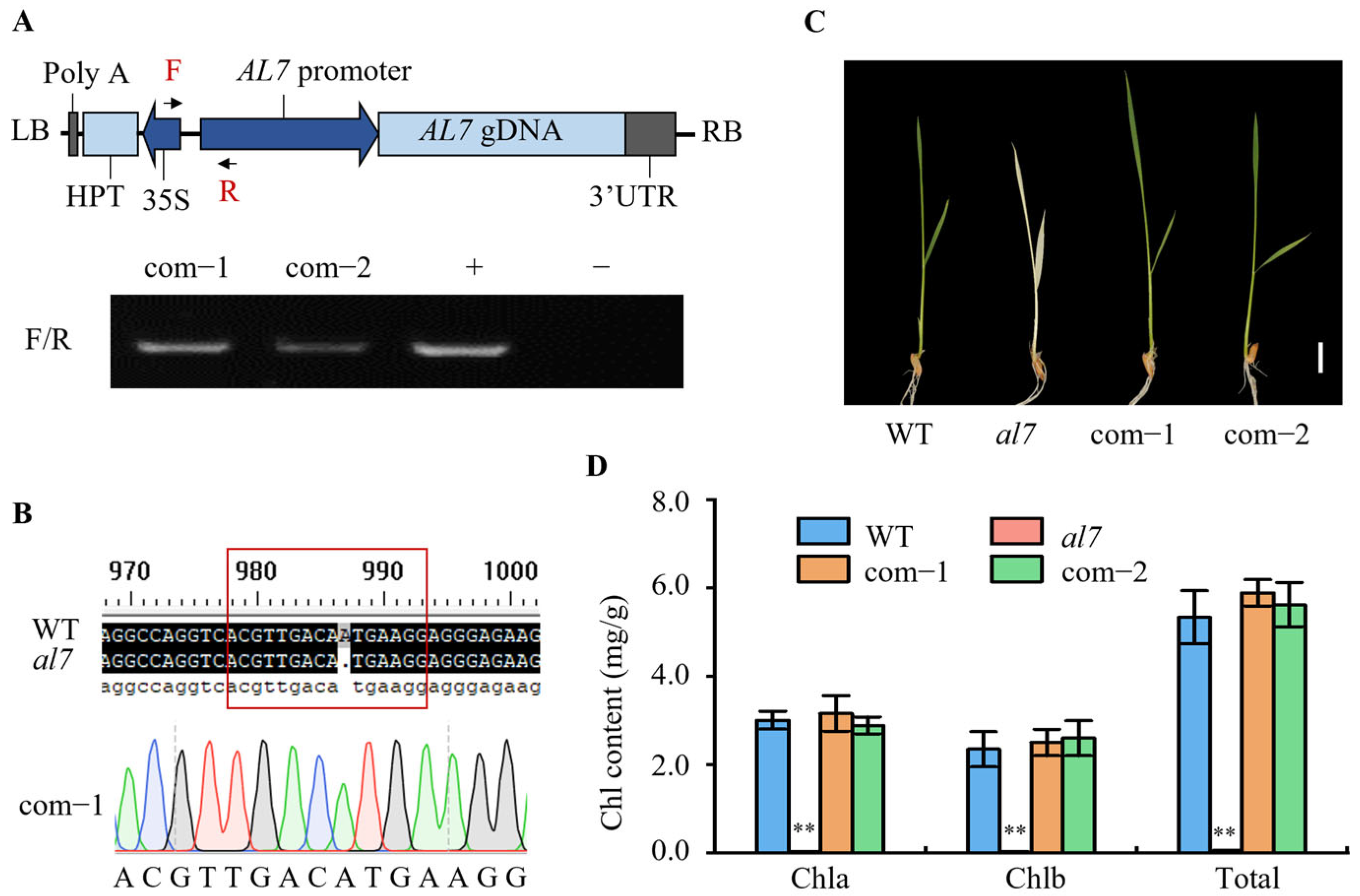 Plants 14 01634 g003