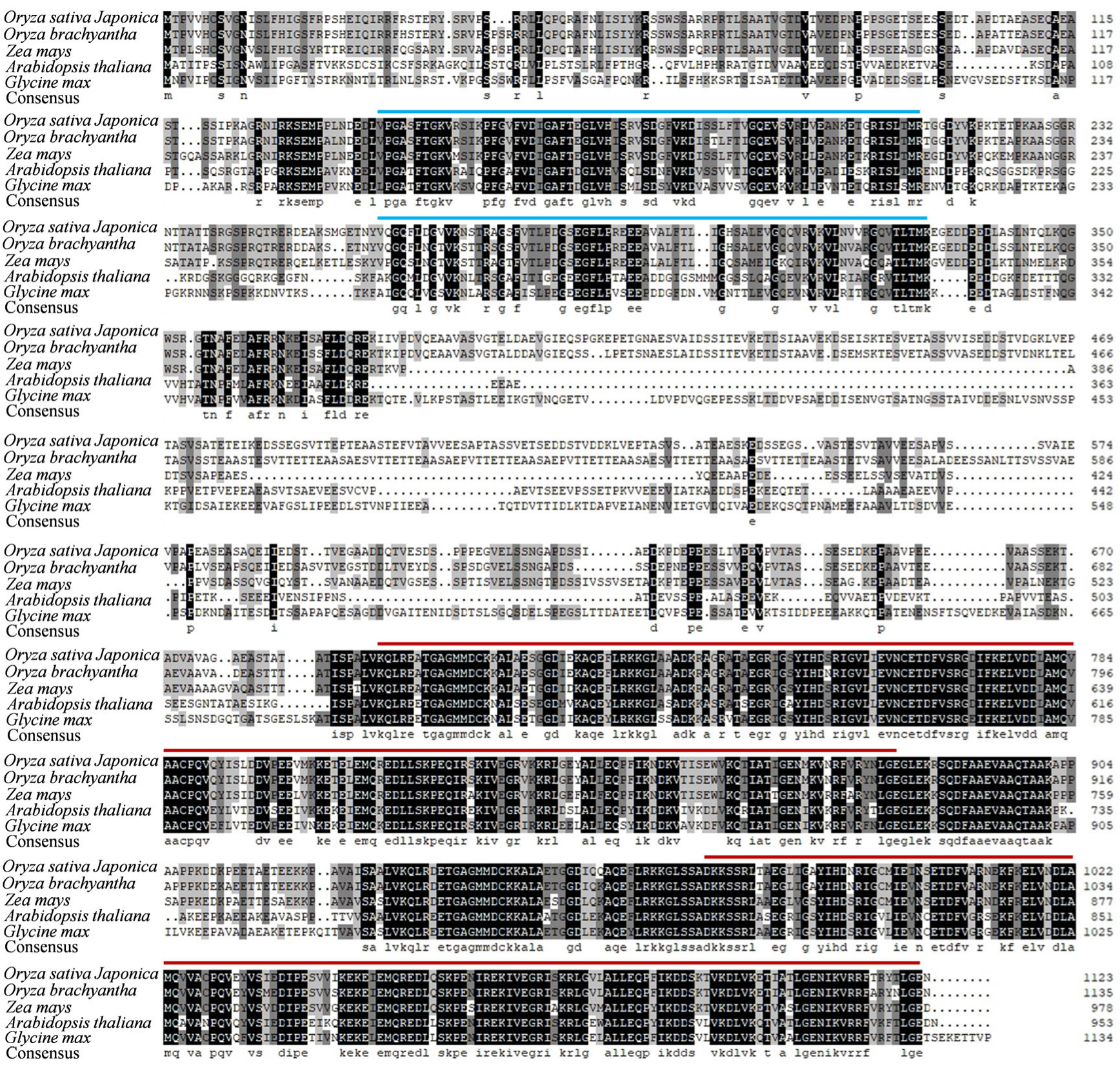 Plants 14 01634 g004