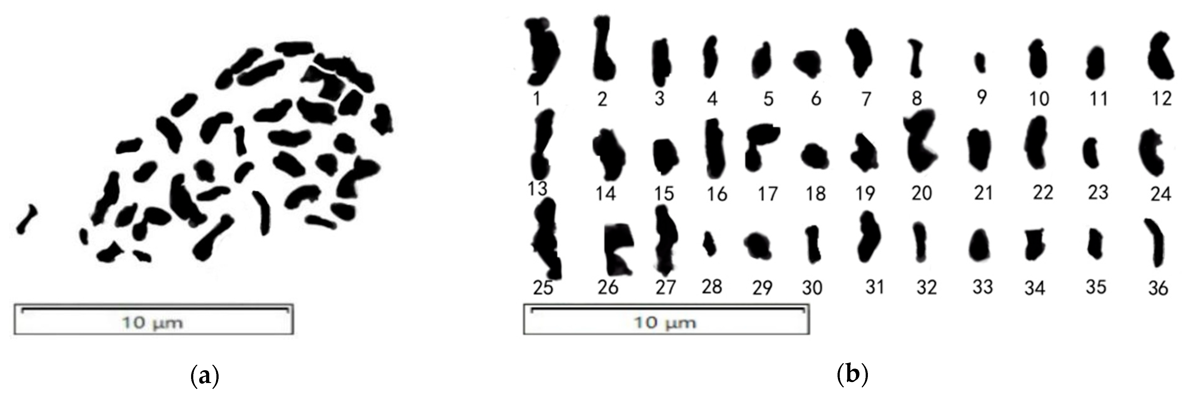 Plants 14 01643 g005