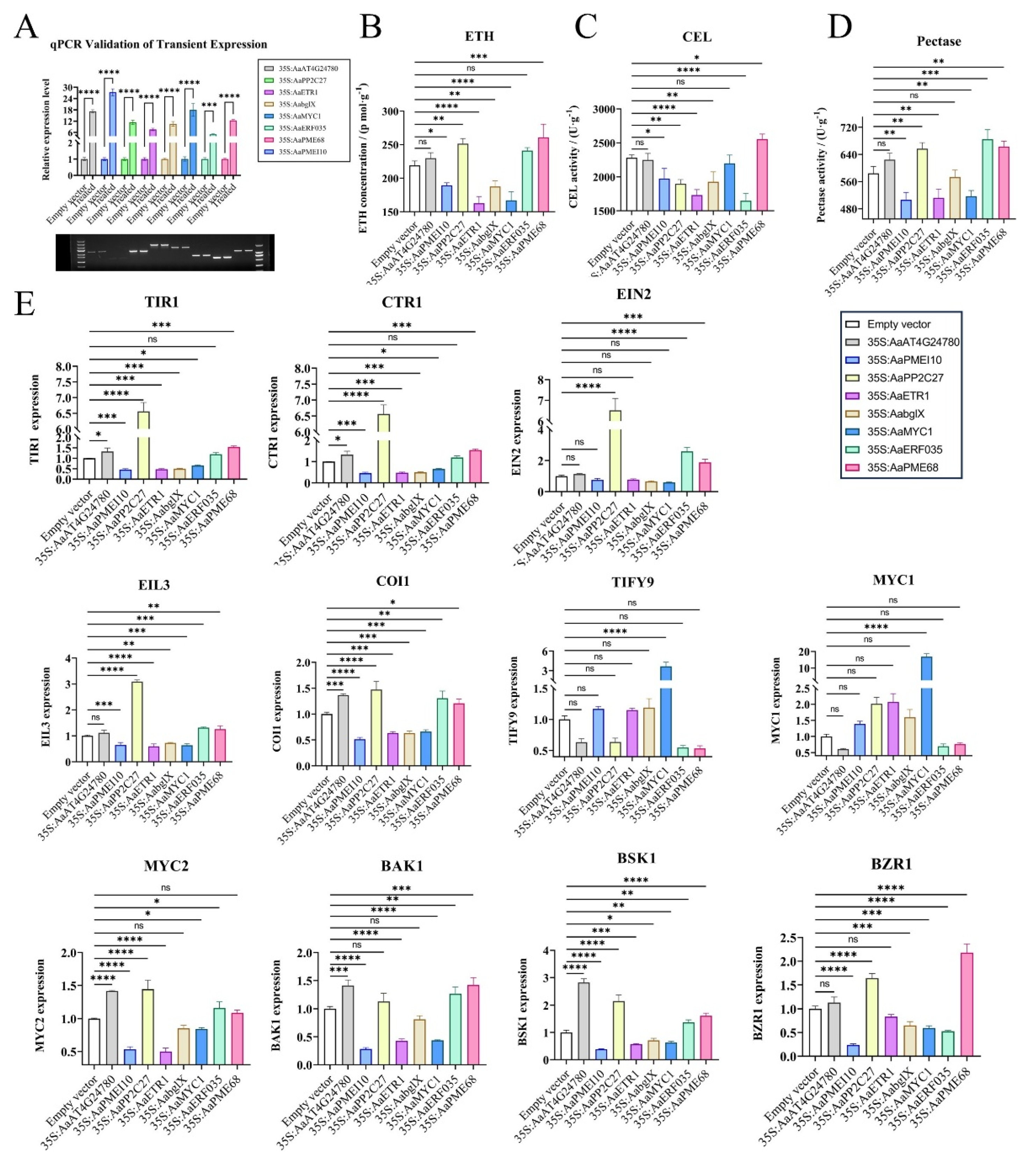 Plants 14 01645 g005