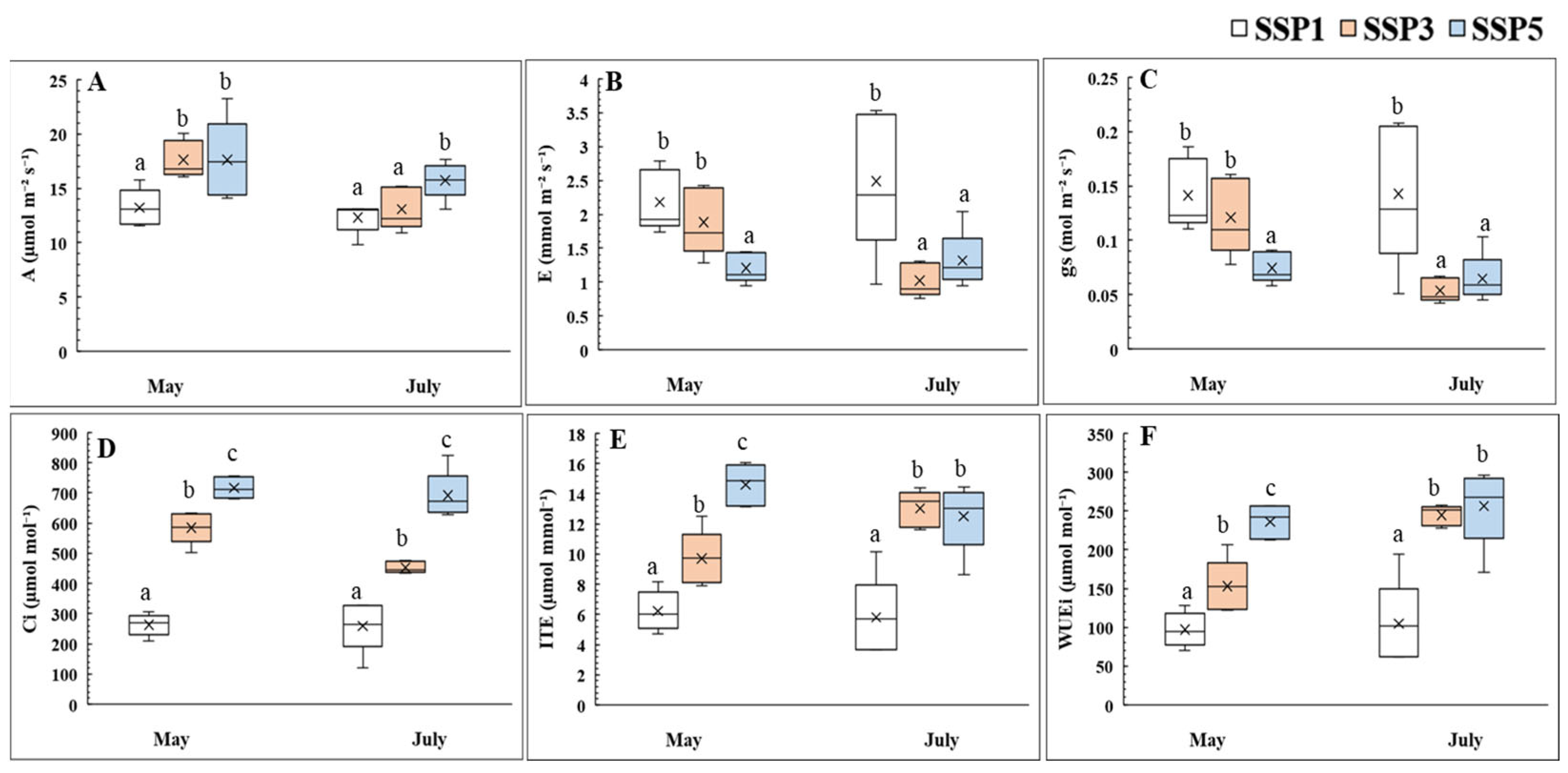 Plants 14 01647 g001