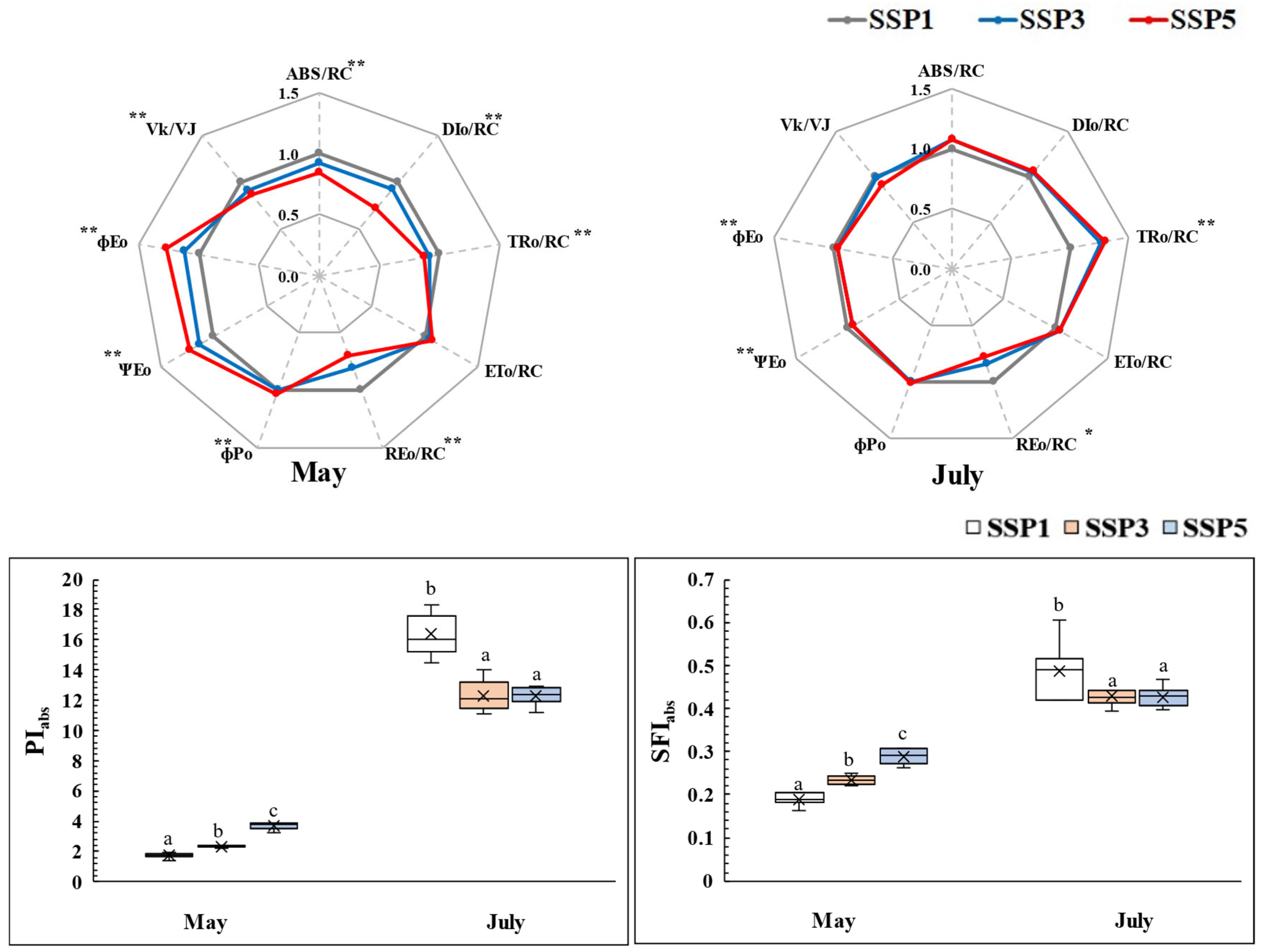 Plants 14 01647 g002