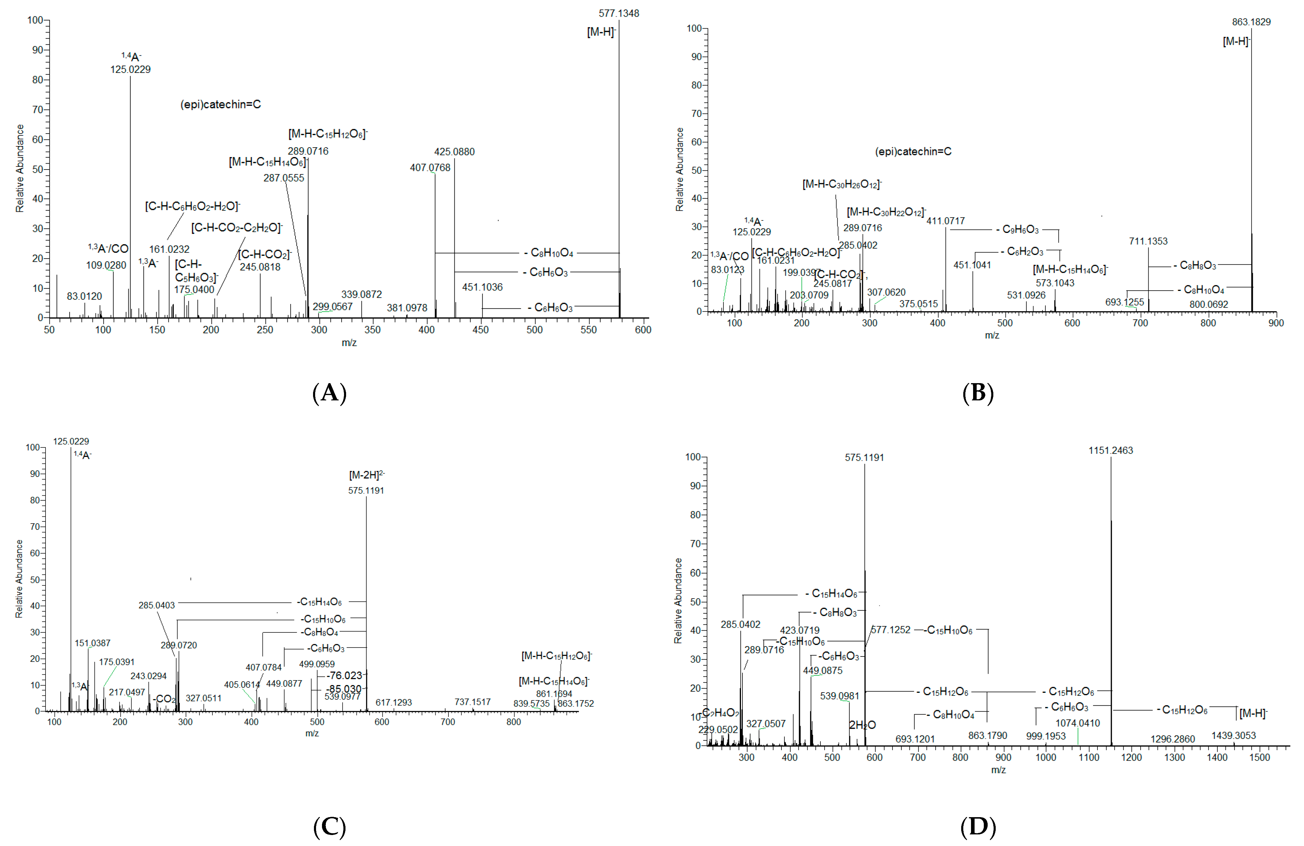 Plants 14 01648 g001