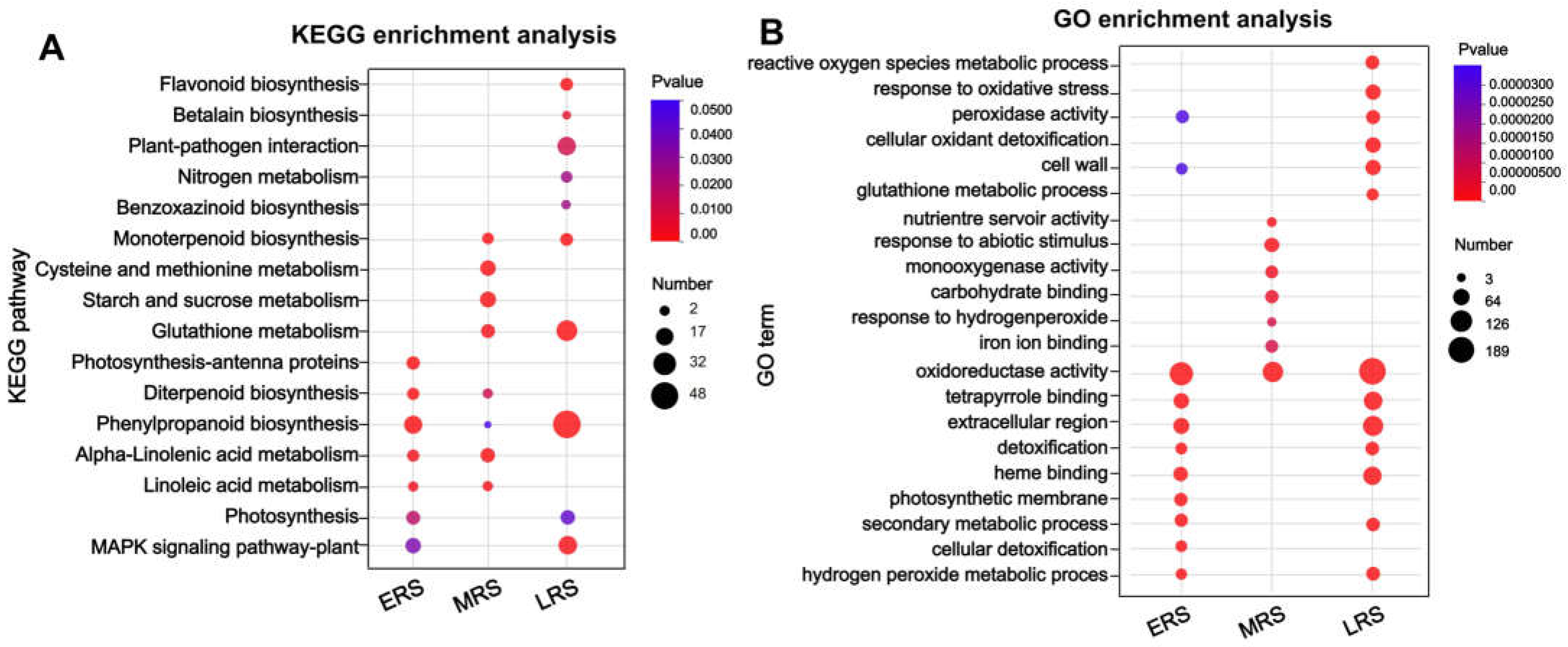 Plants 14 01657 g004