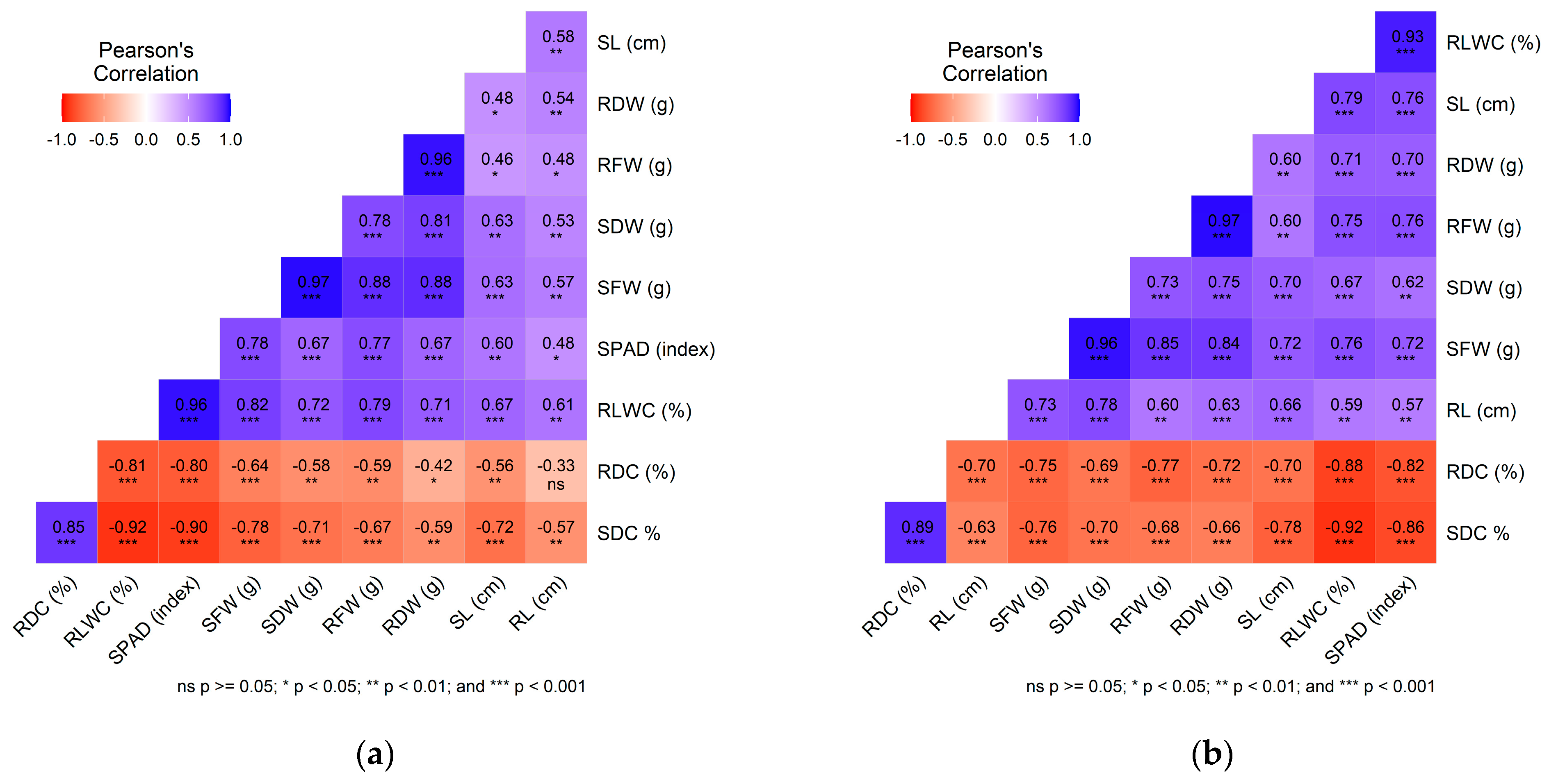 Plants 14 01666 g004