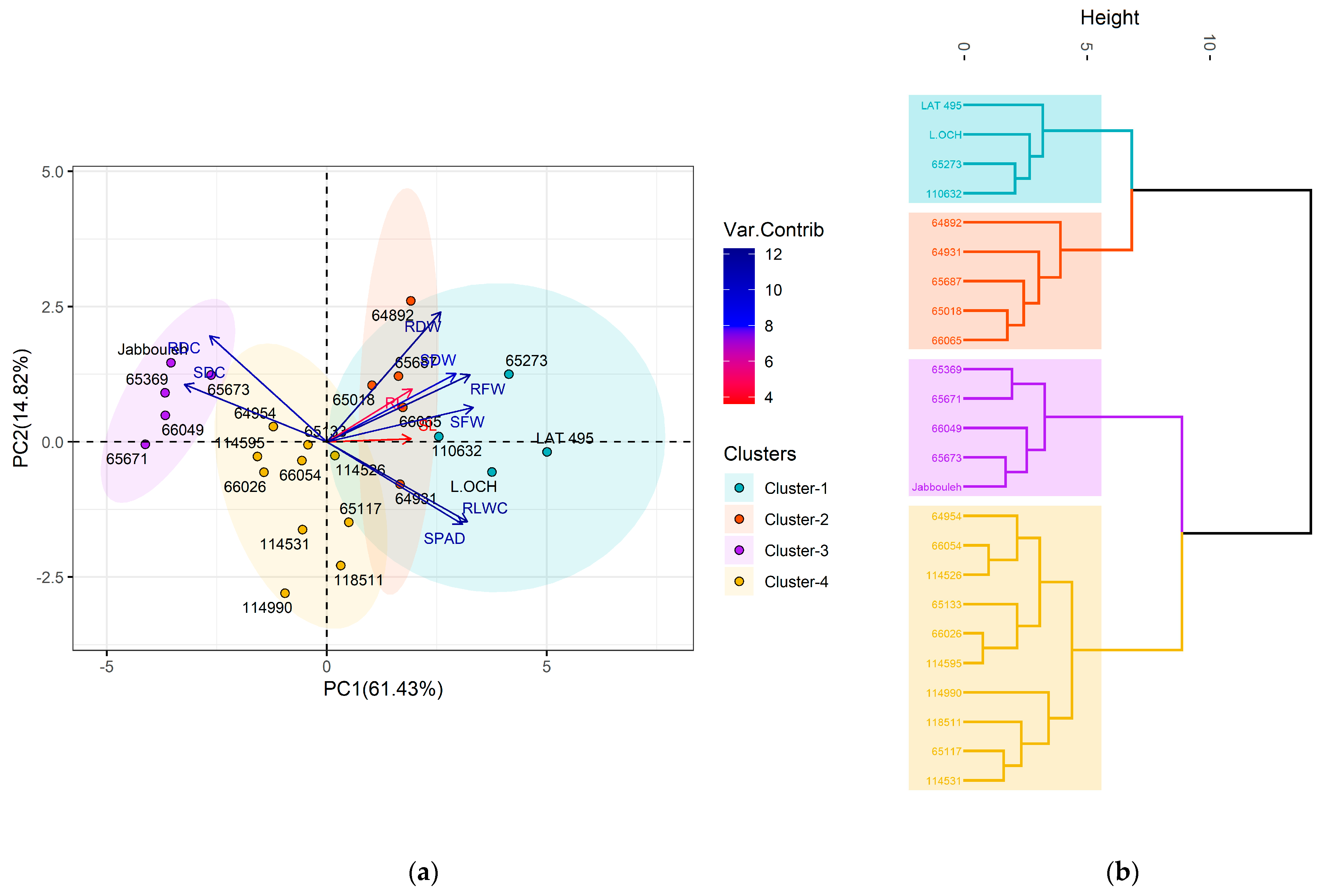 Plants 14 01666 g005
