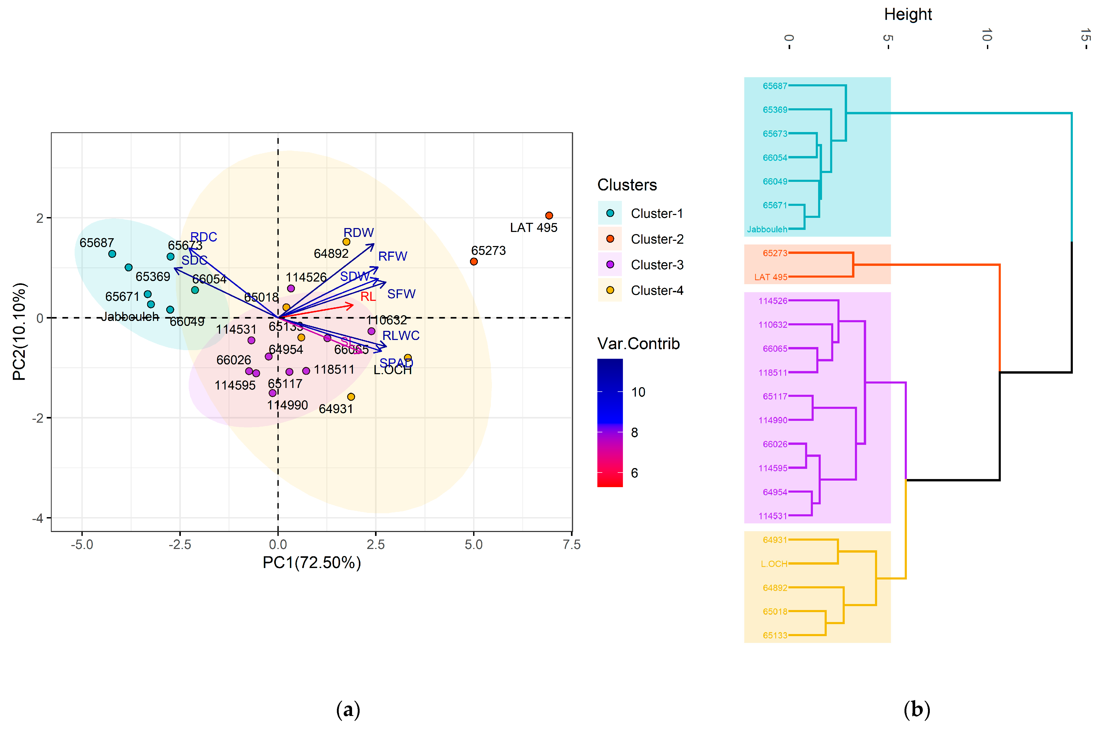 Plants 14 01666 g006