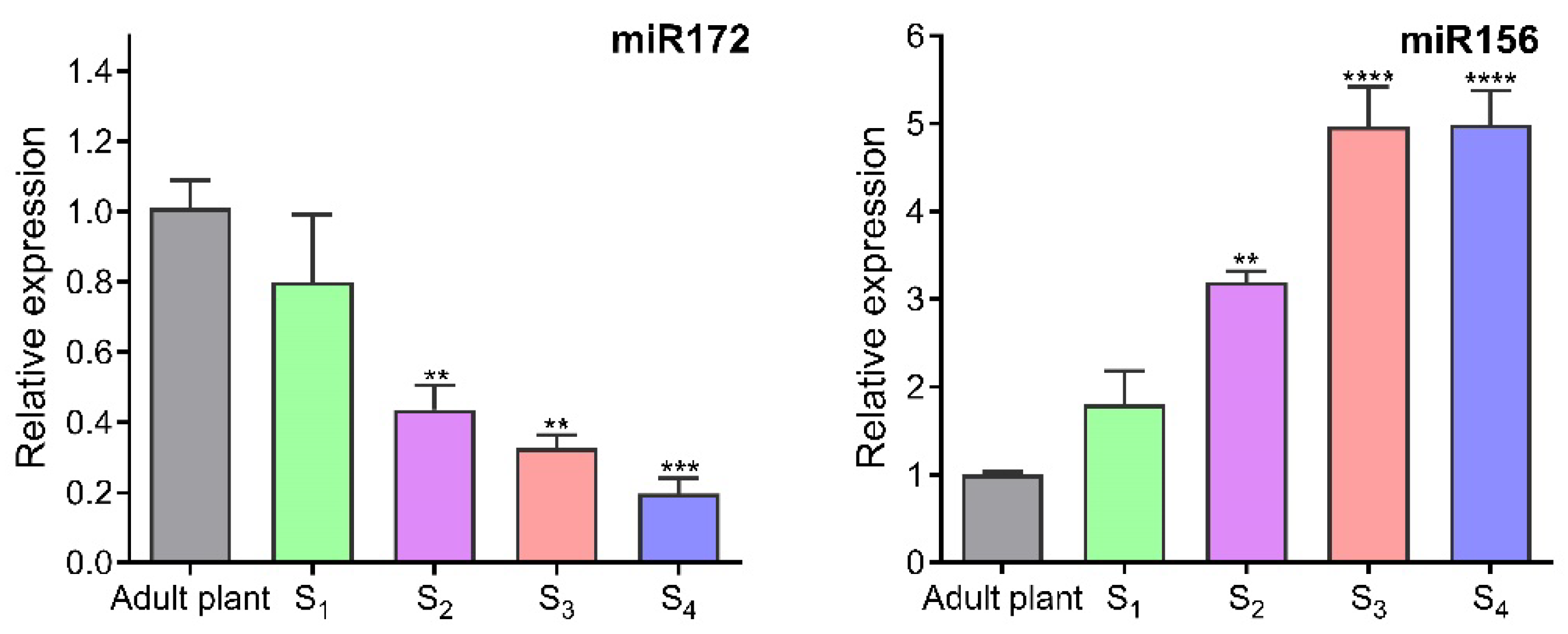 Plants 14 01668 g006