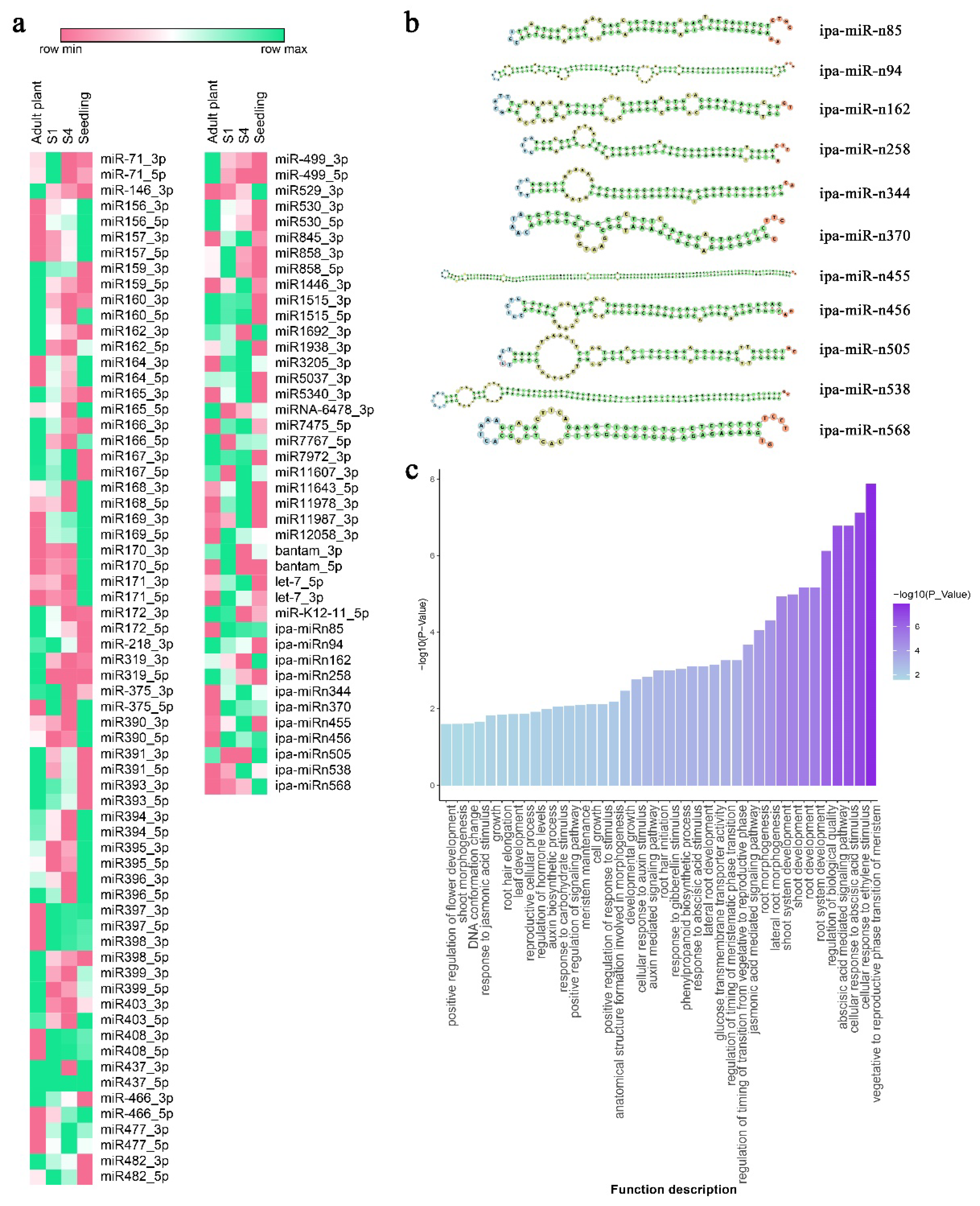 Plants 14 01668 g008