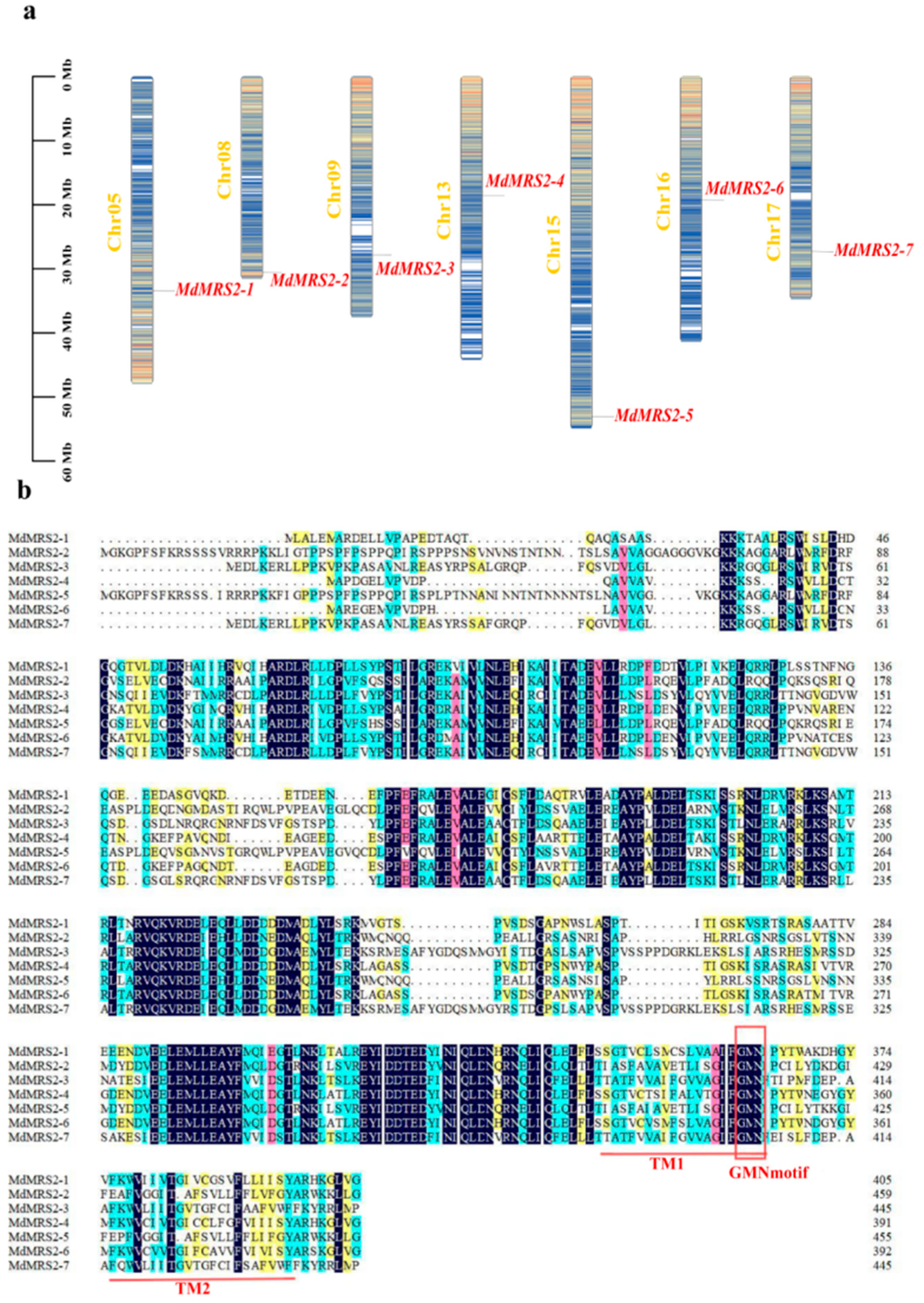 Plants 14 01672 g001