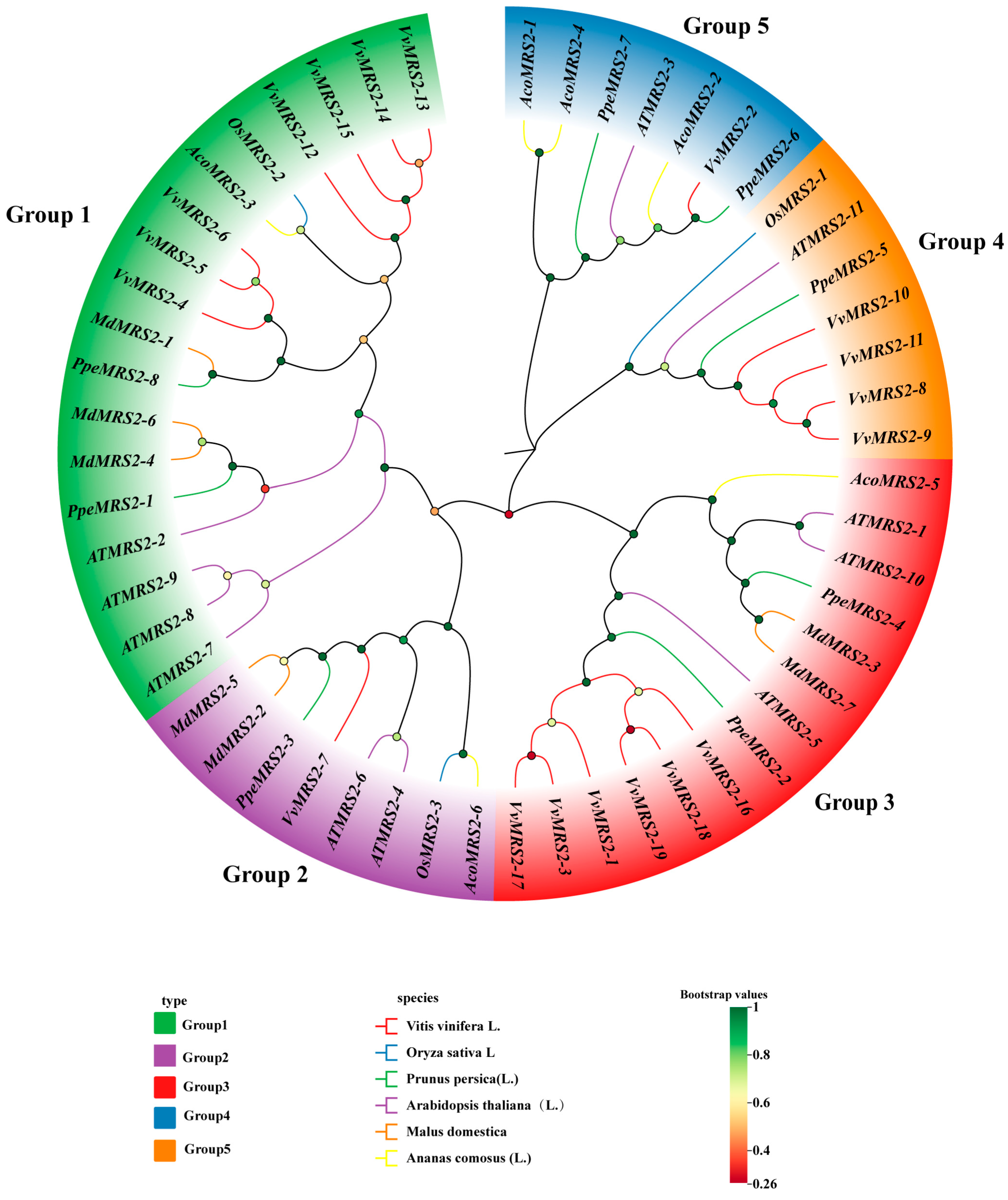 Plants 14 01672 g002