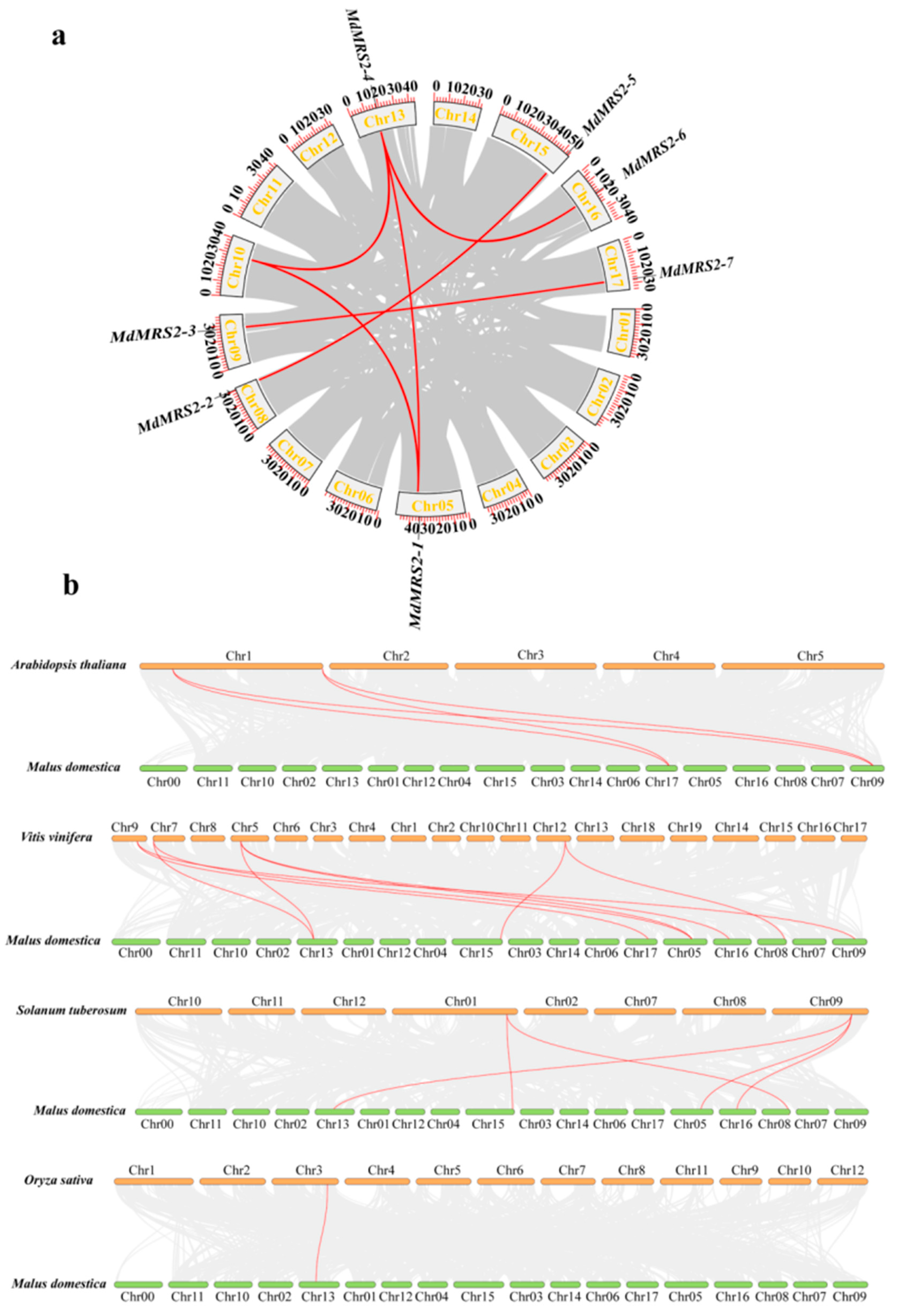 Plants 14 01672 g003