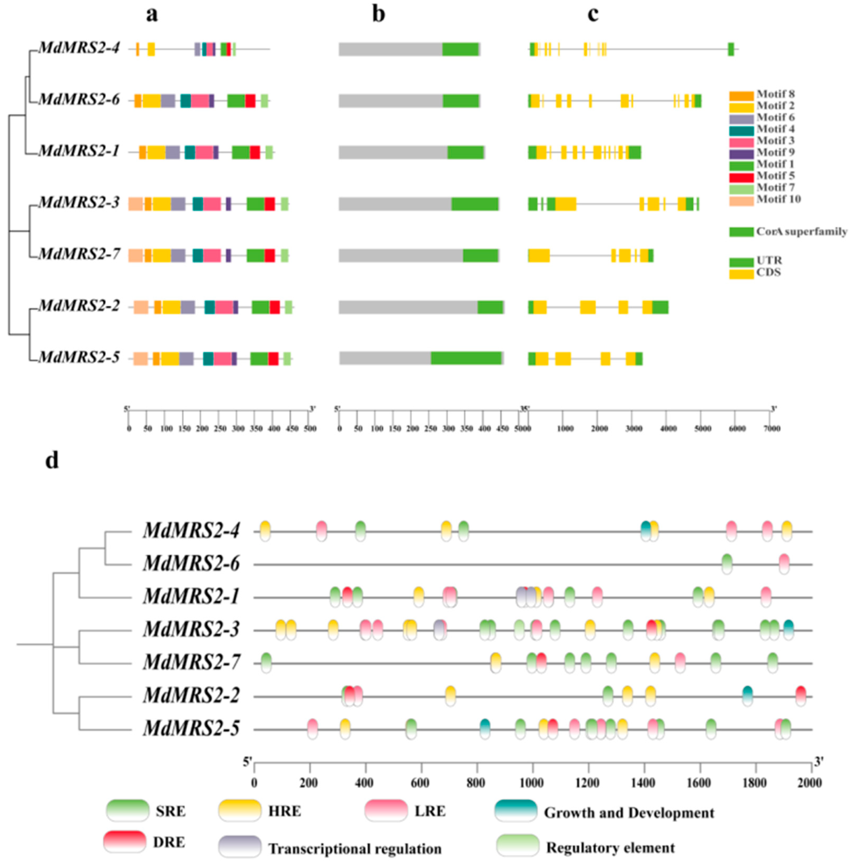Plants 14 01672 g005