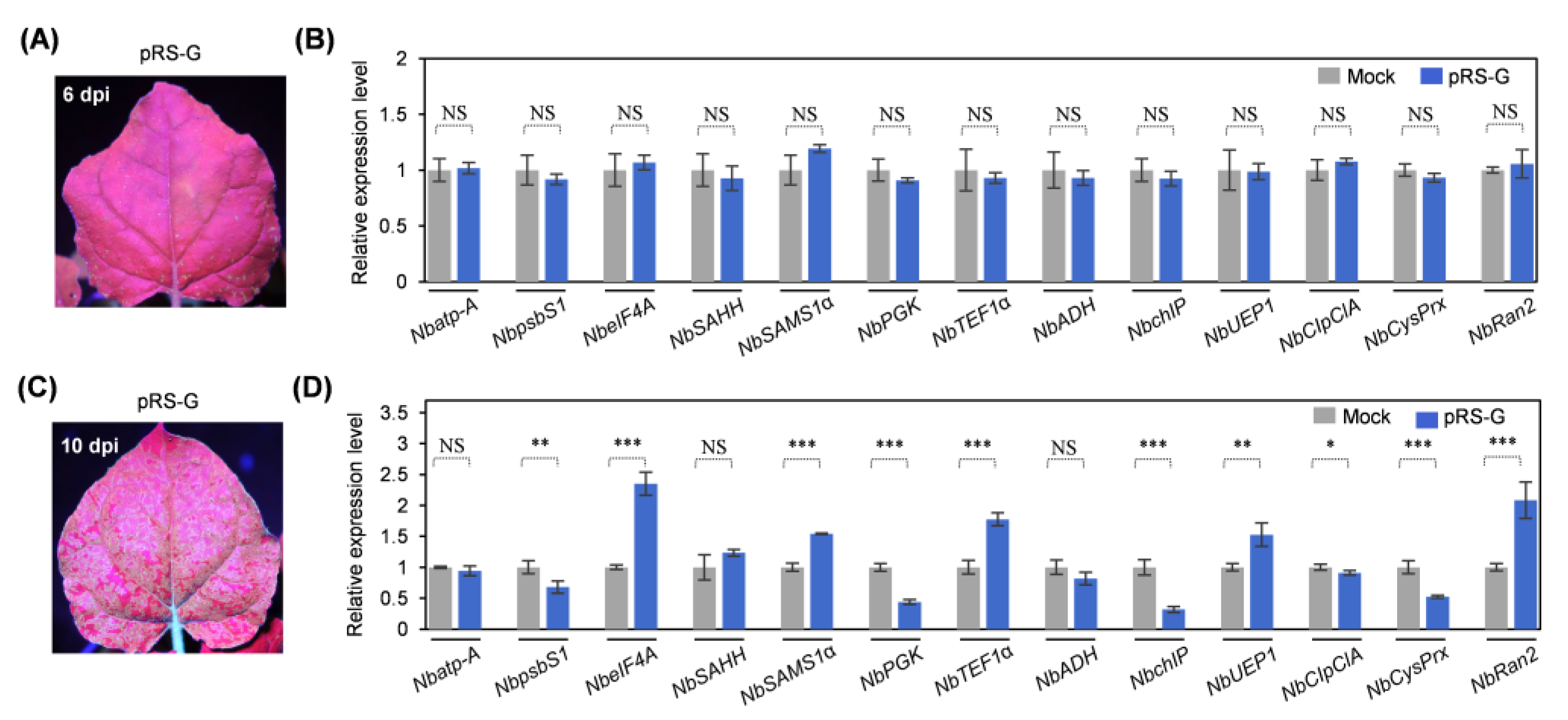 Plants 14 01673 g004 Plants 14 01673 g004