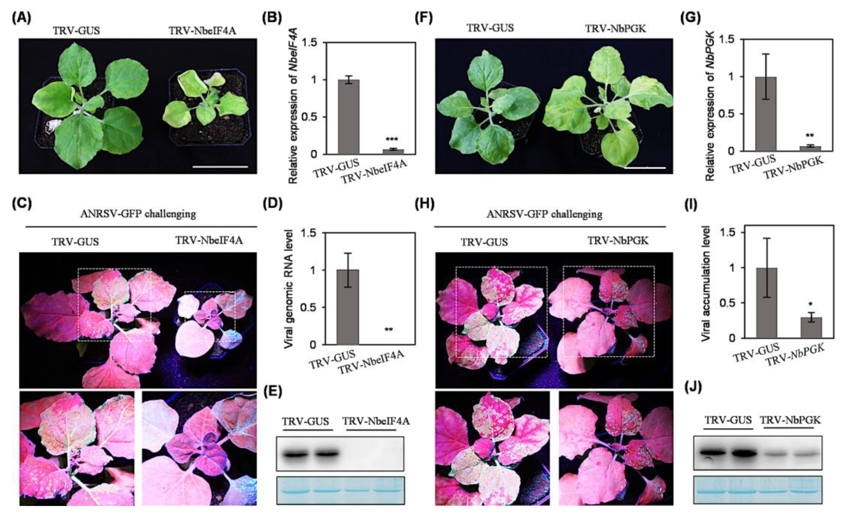 Plants 14 01673 g005 Plants 14 01673 g005