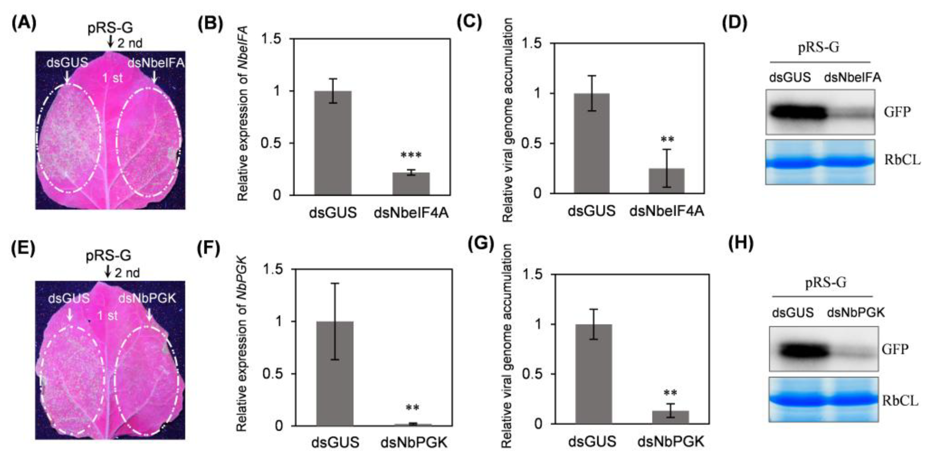 Plants 14 01673 g006 Plants 14 01673 g006