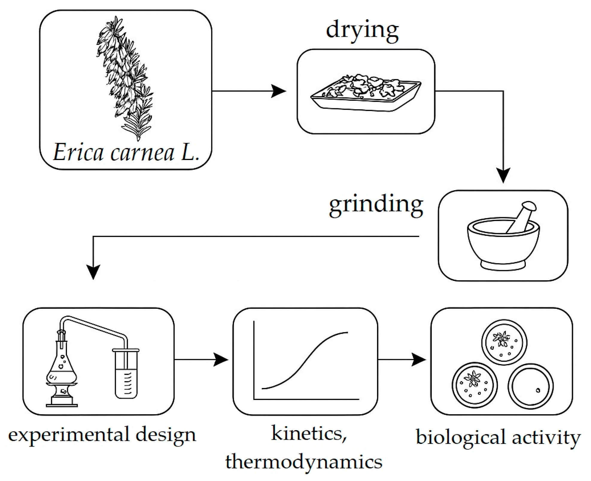 Plants 14 01679 g002