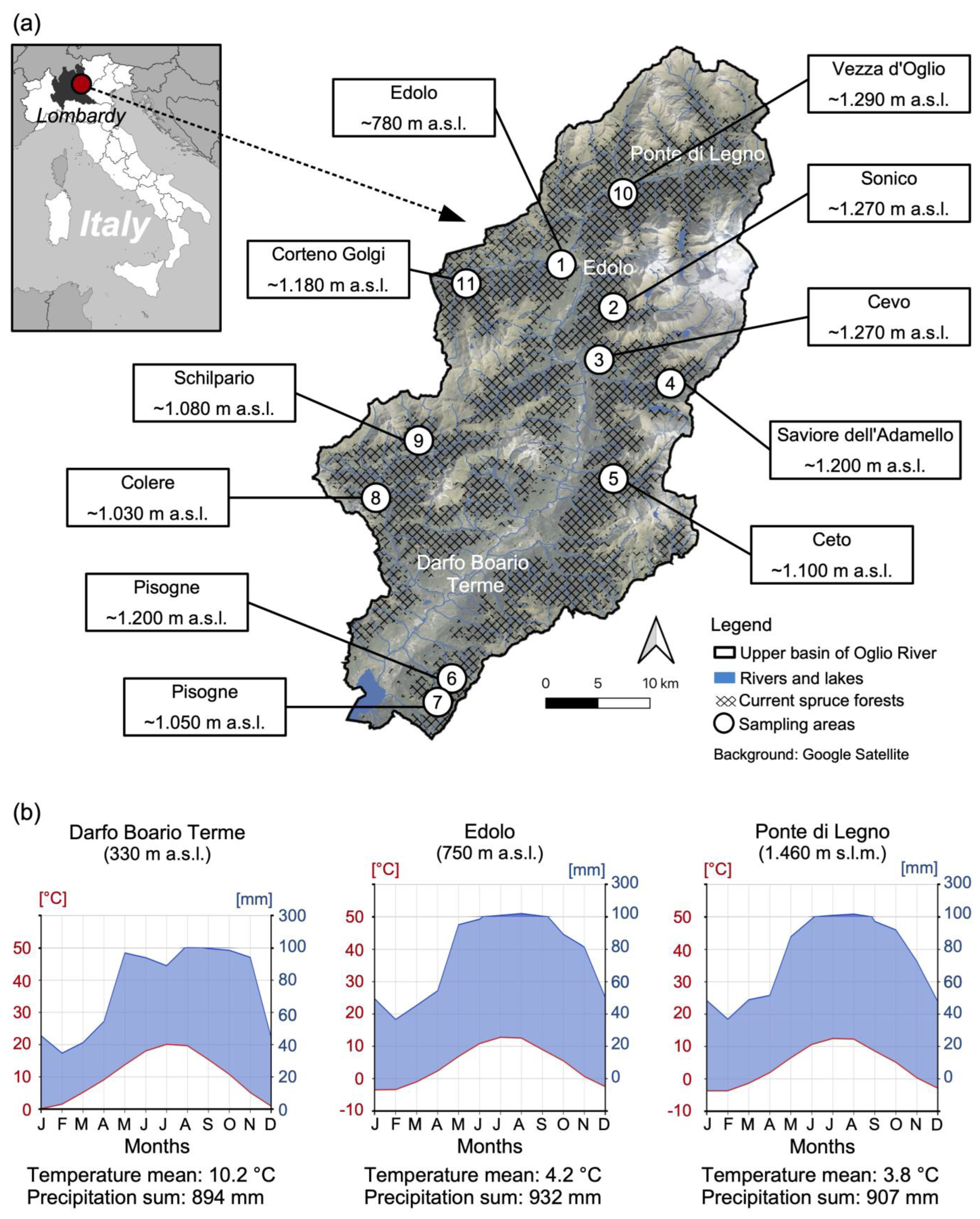 Plants 14 01681 g001