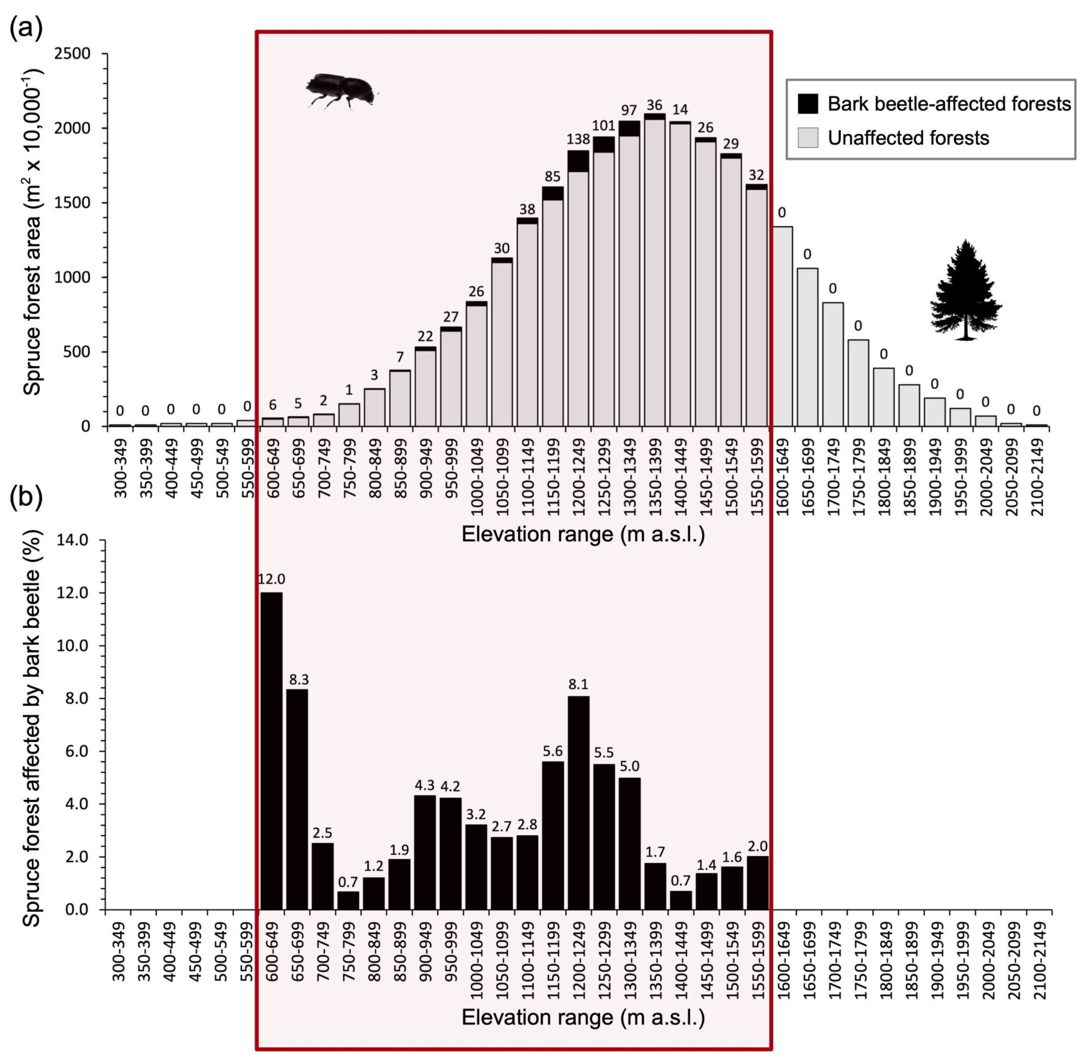 Plants 14 01681 g002
