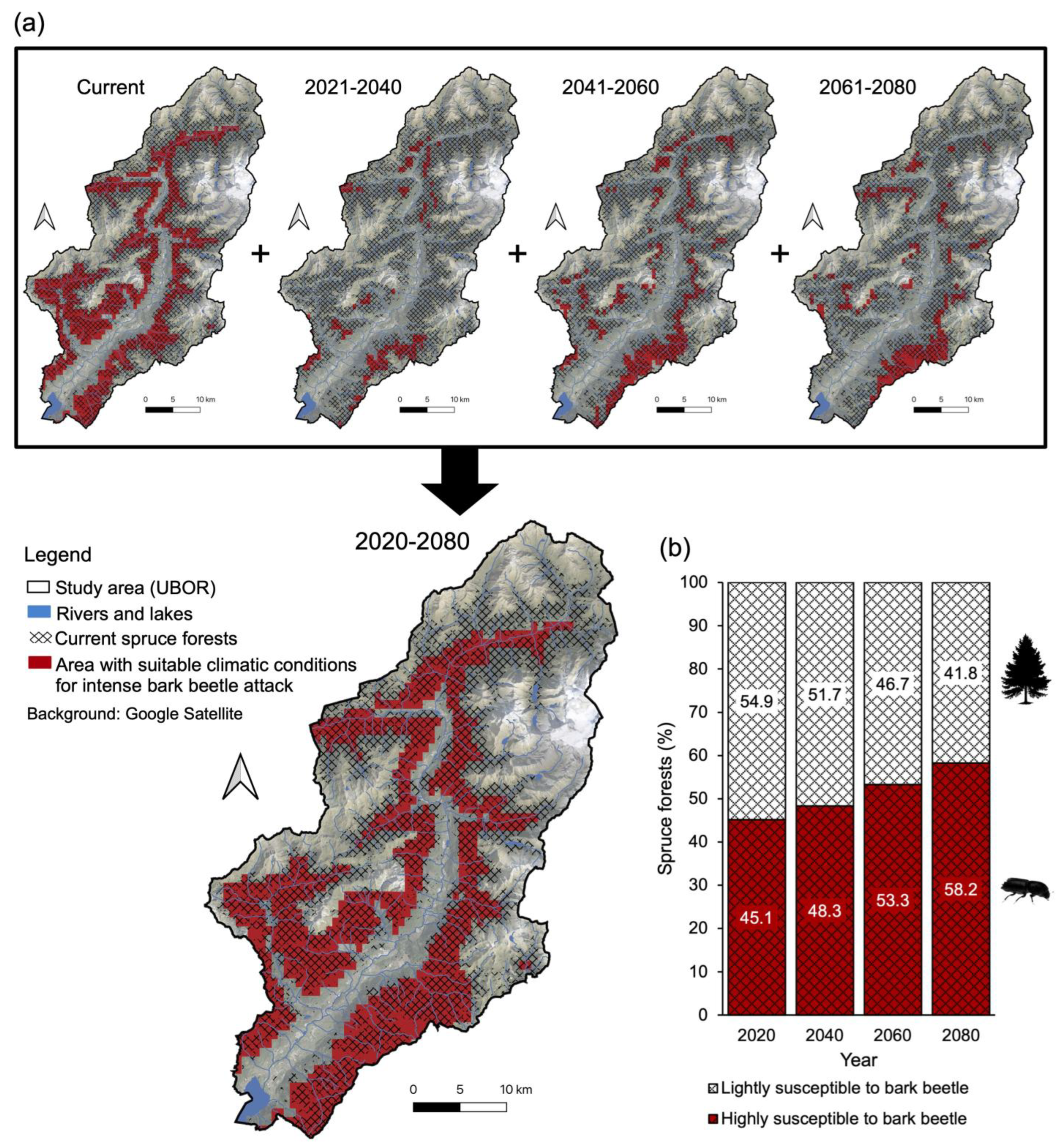 Plants 14 01681 g004
